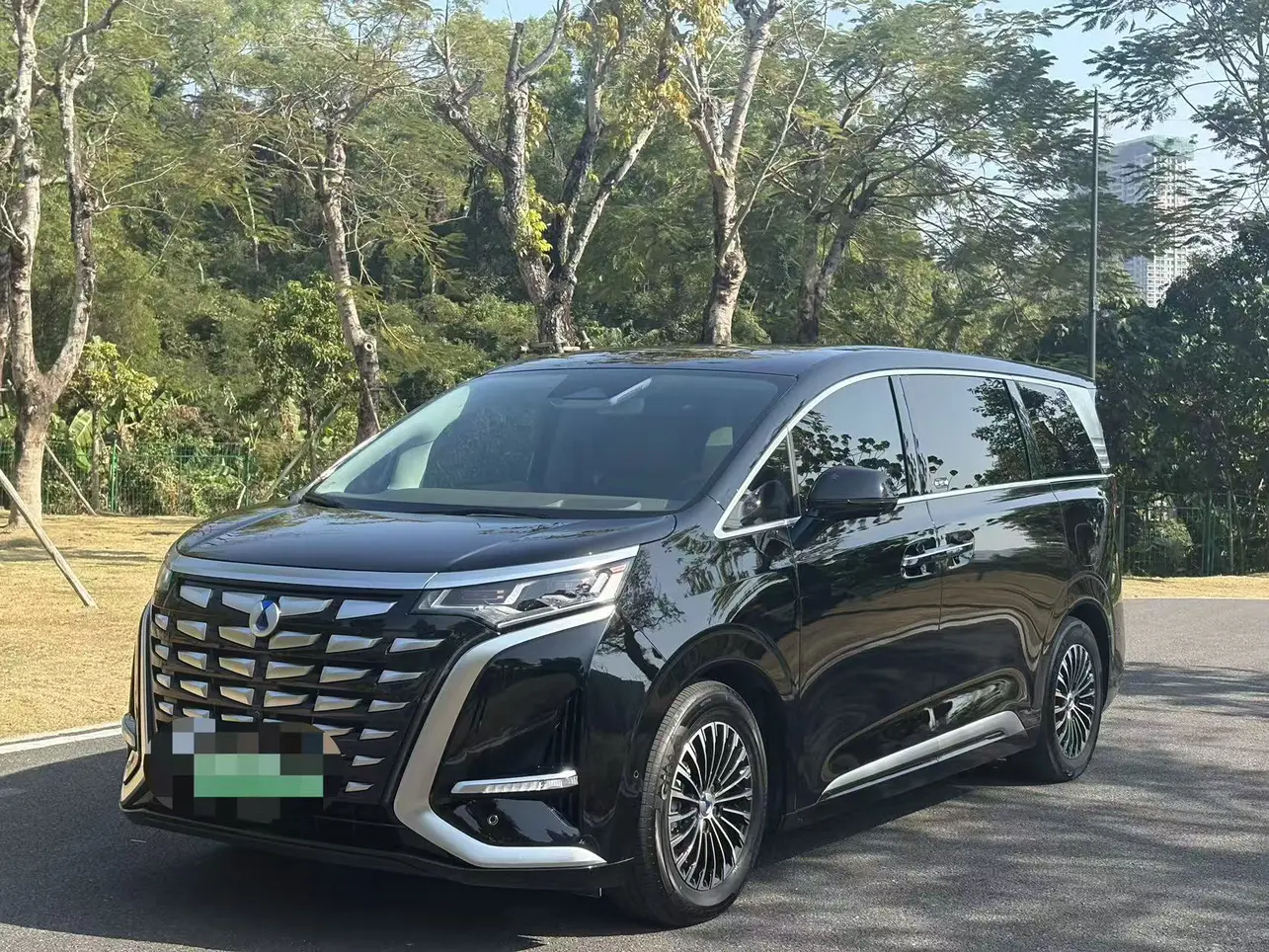 Denza D9 DM  из Китая