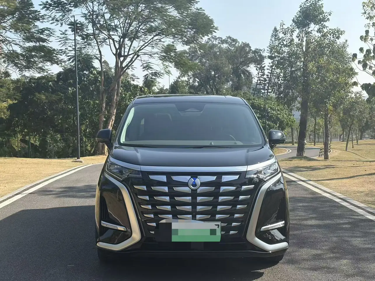 Denza D9 DM  из Китая