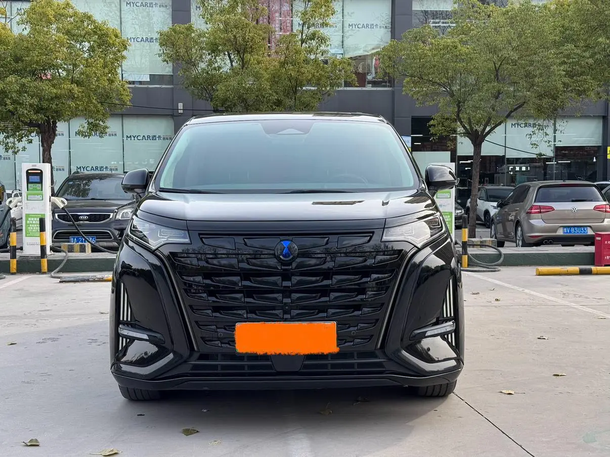 Denza D9 DM  из Китая