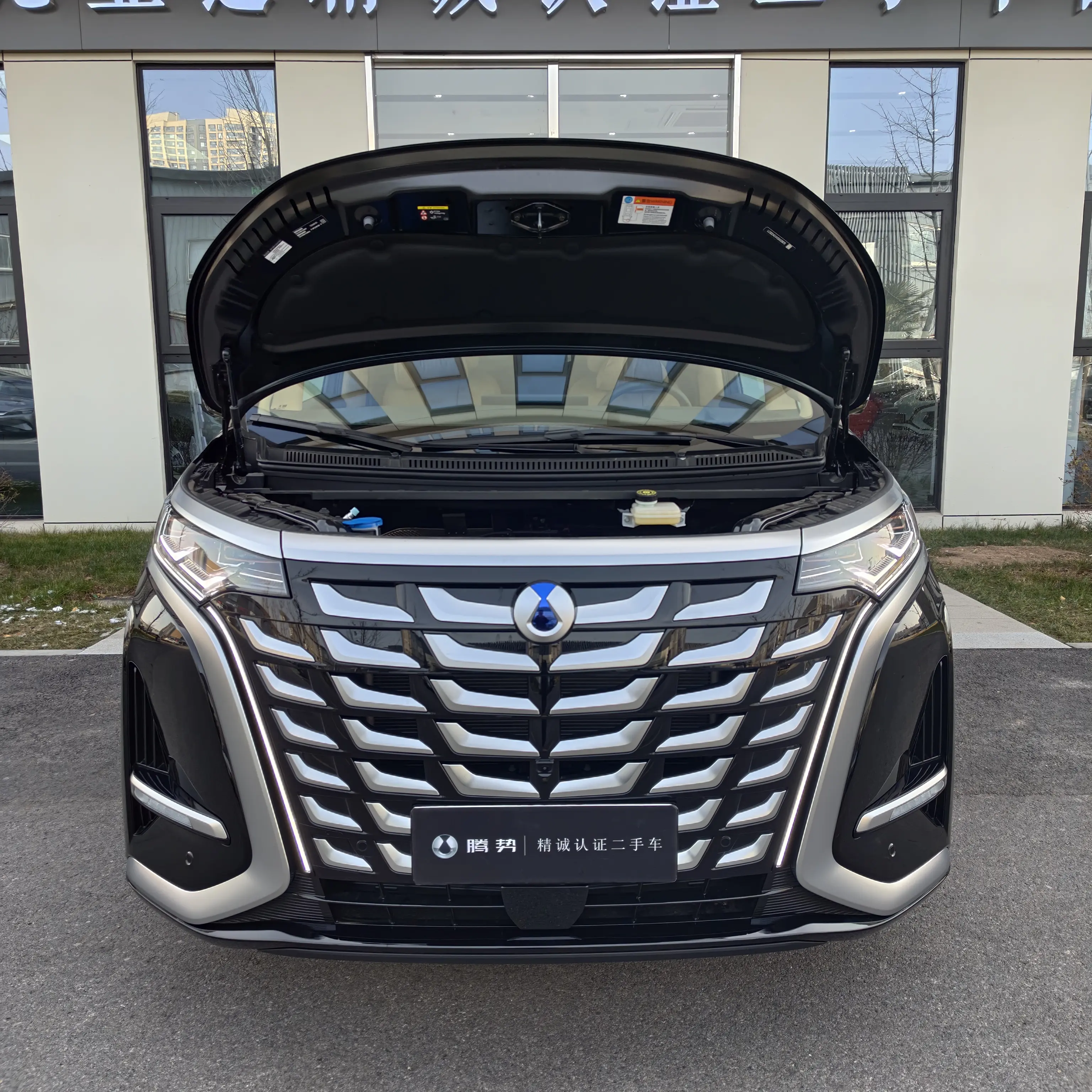 Denza D9 DM  из Китая