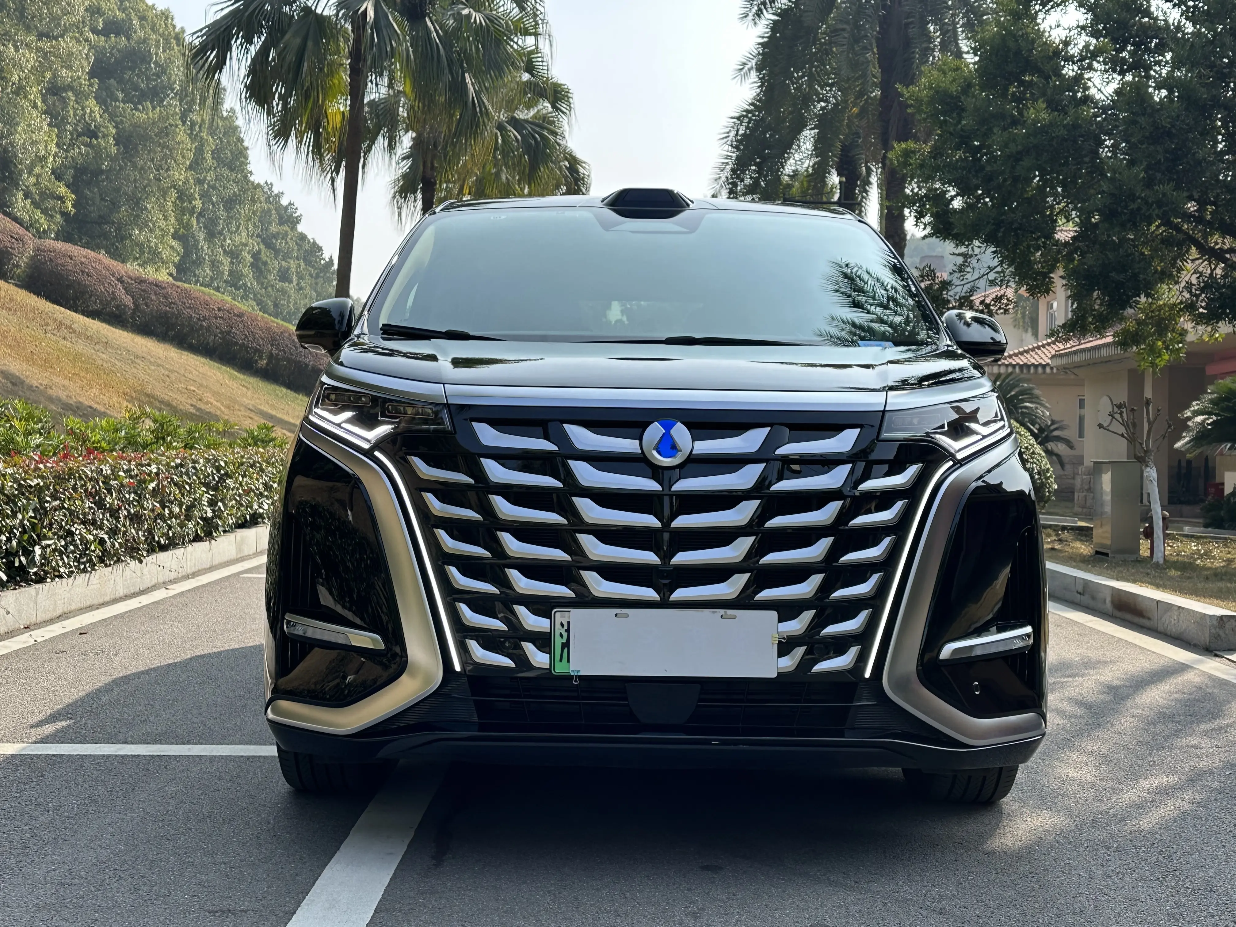 Denza D9 DM  из Китая