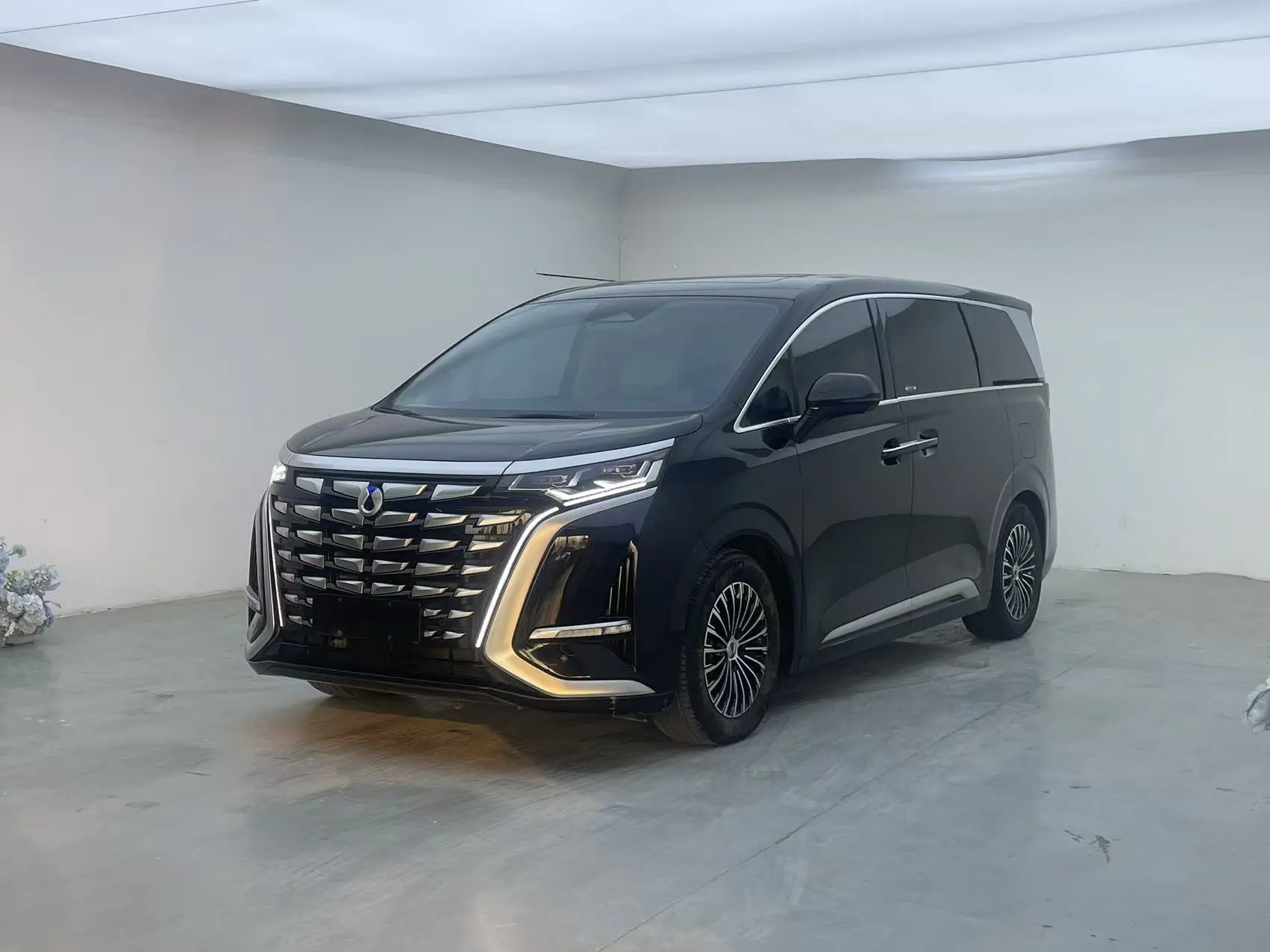 Denza D9 DM  из Китая