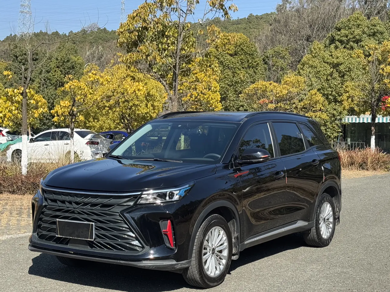 Dongfeng Fengon 580  из Китая