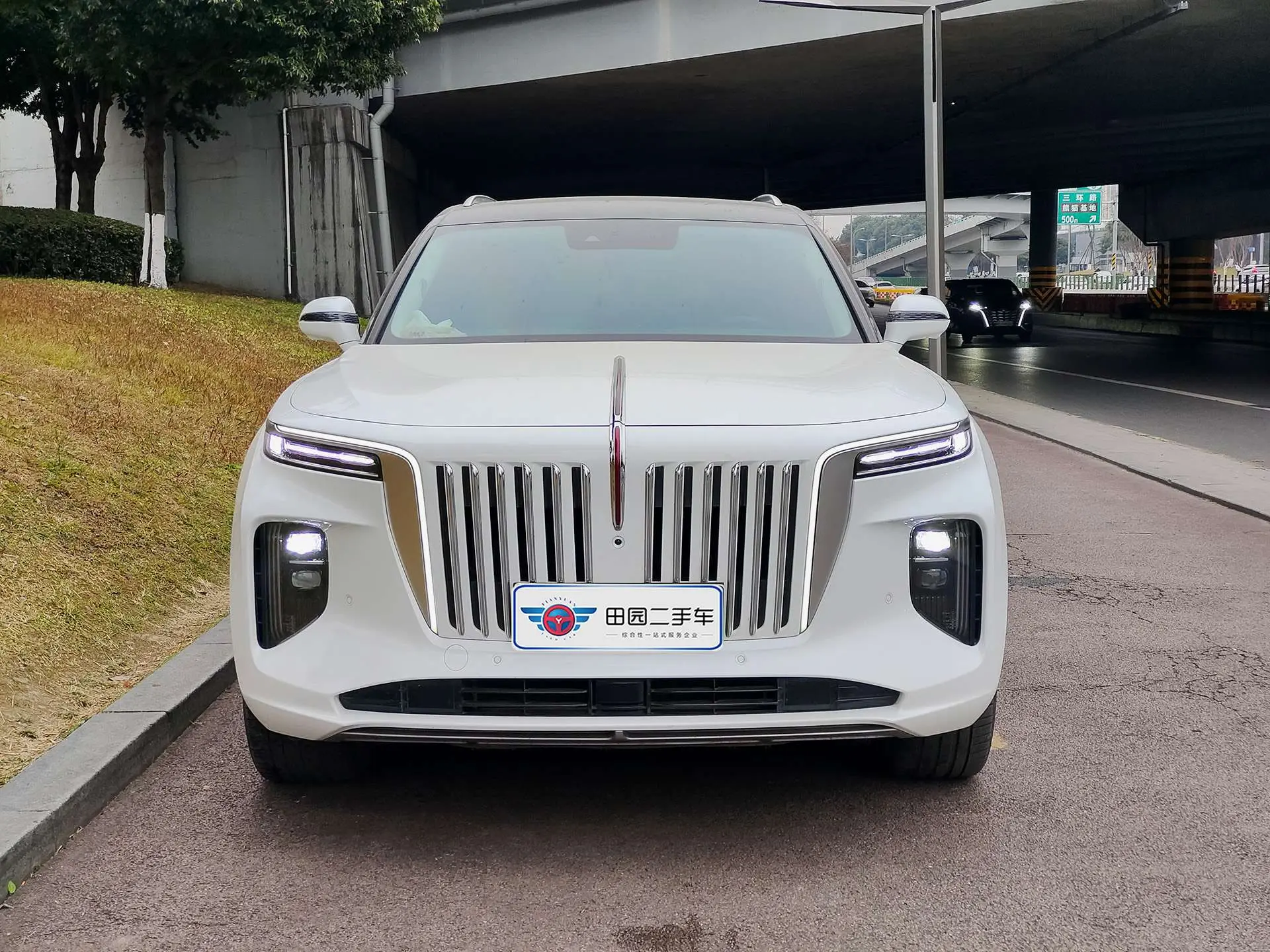 Hongqi E-HS9  из Китая