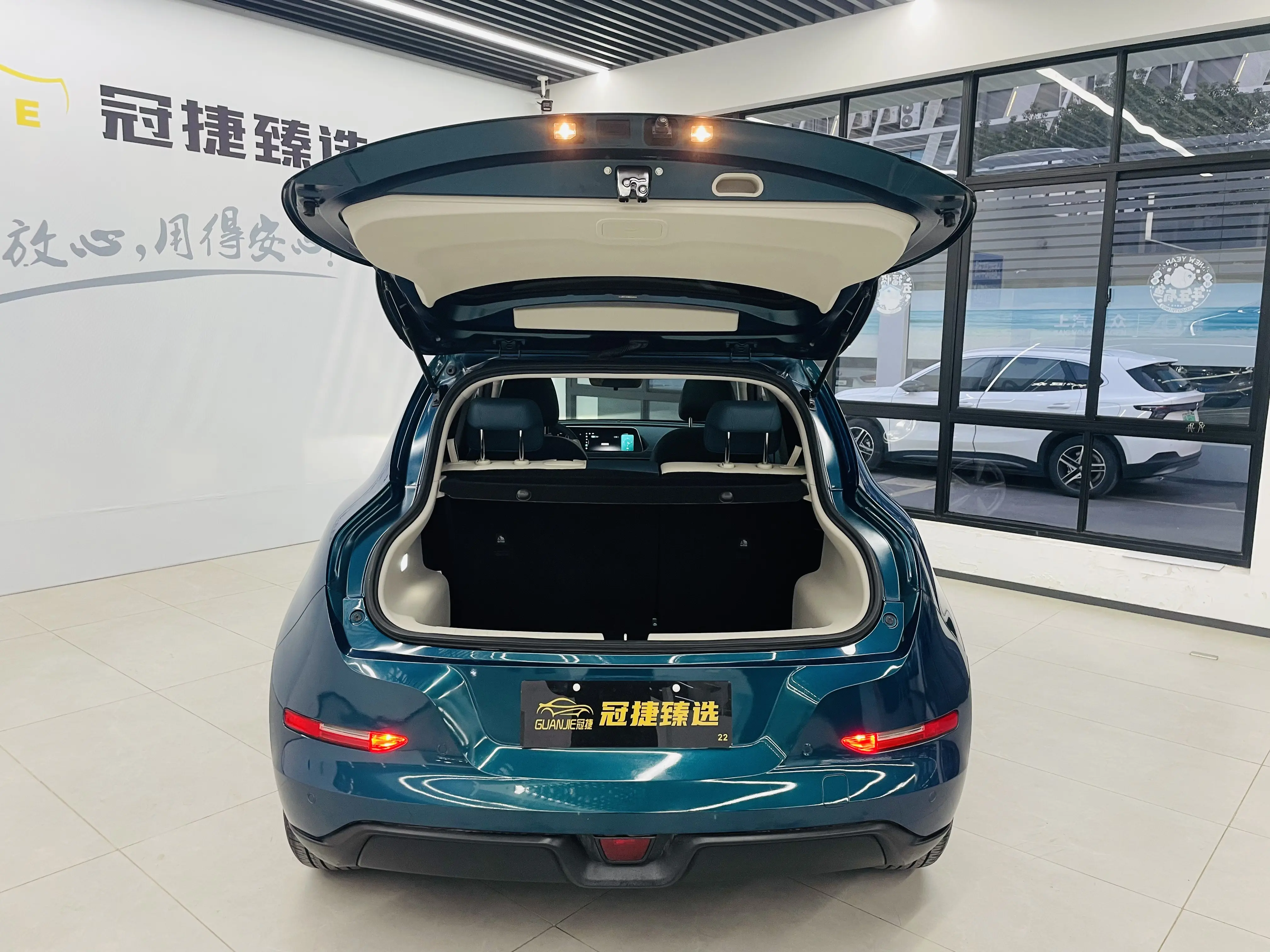 ORA Euler good cat  из Китая