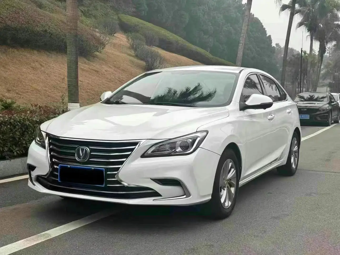 Changan Ruicheng CC  из Китая