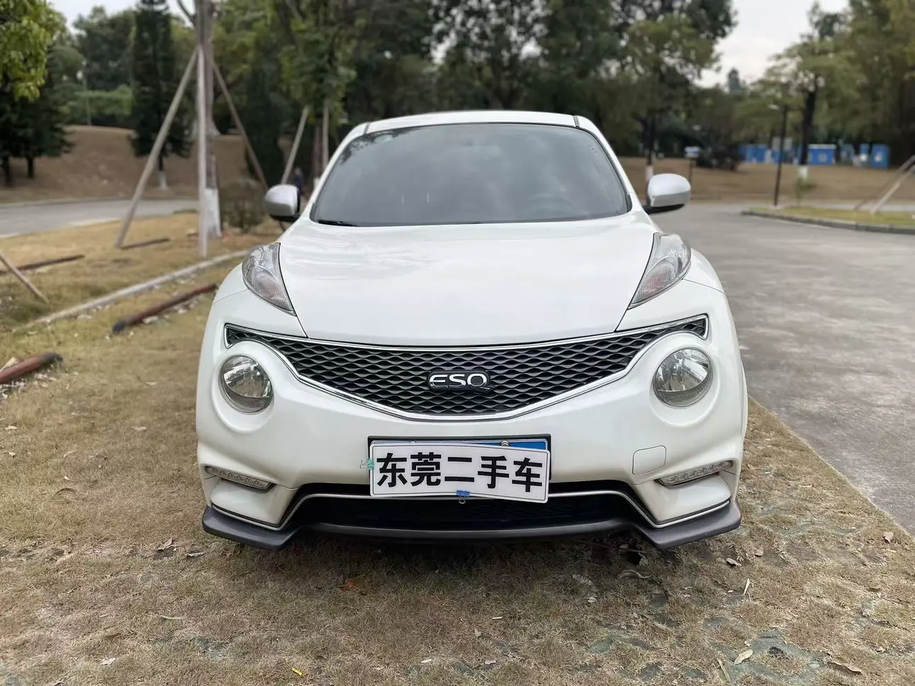 Infiniti ESQ  из Китая