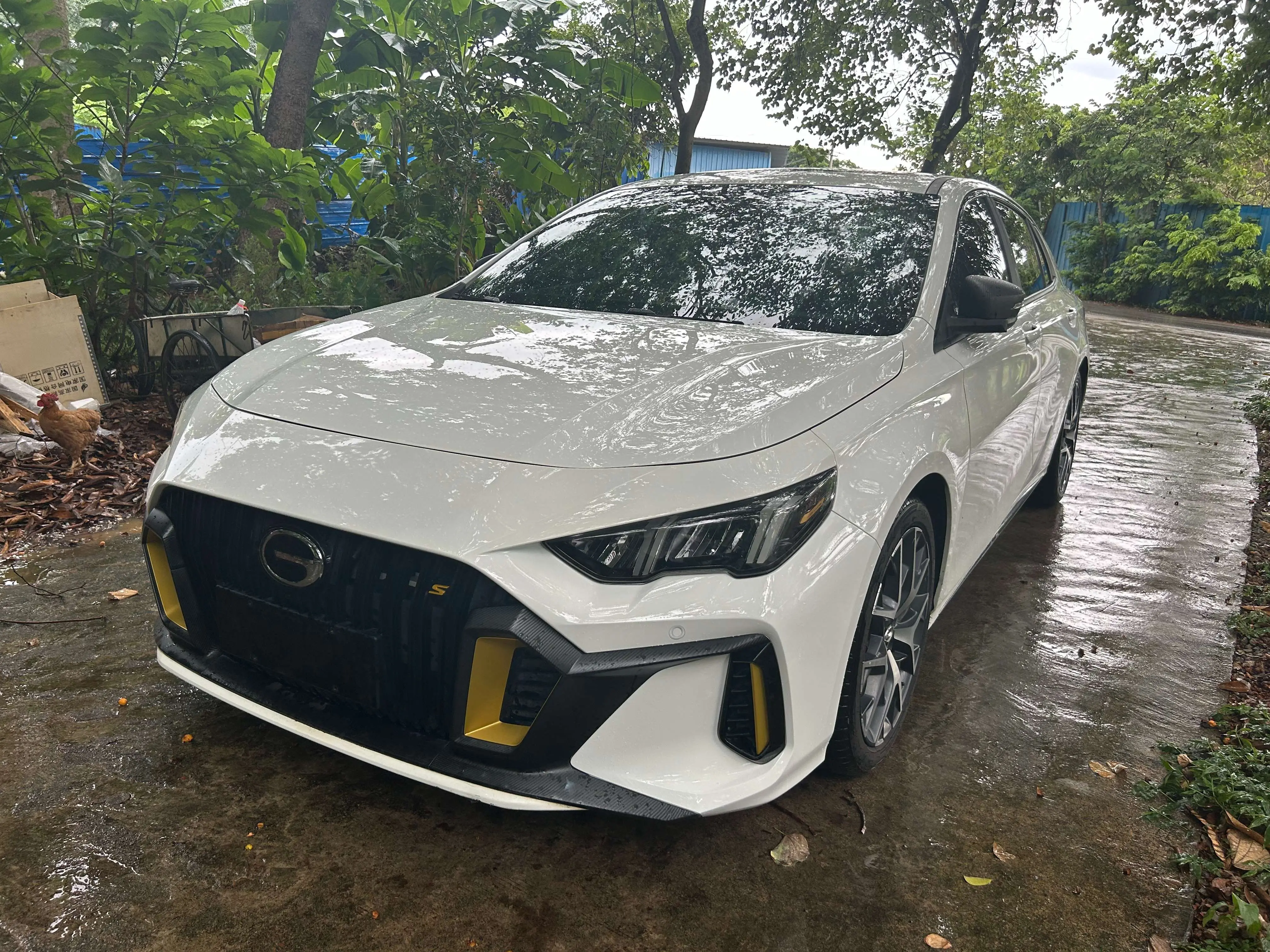 GAC Shadow Leopard  из Китая