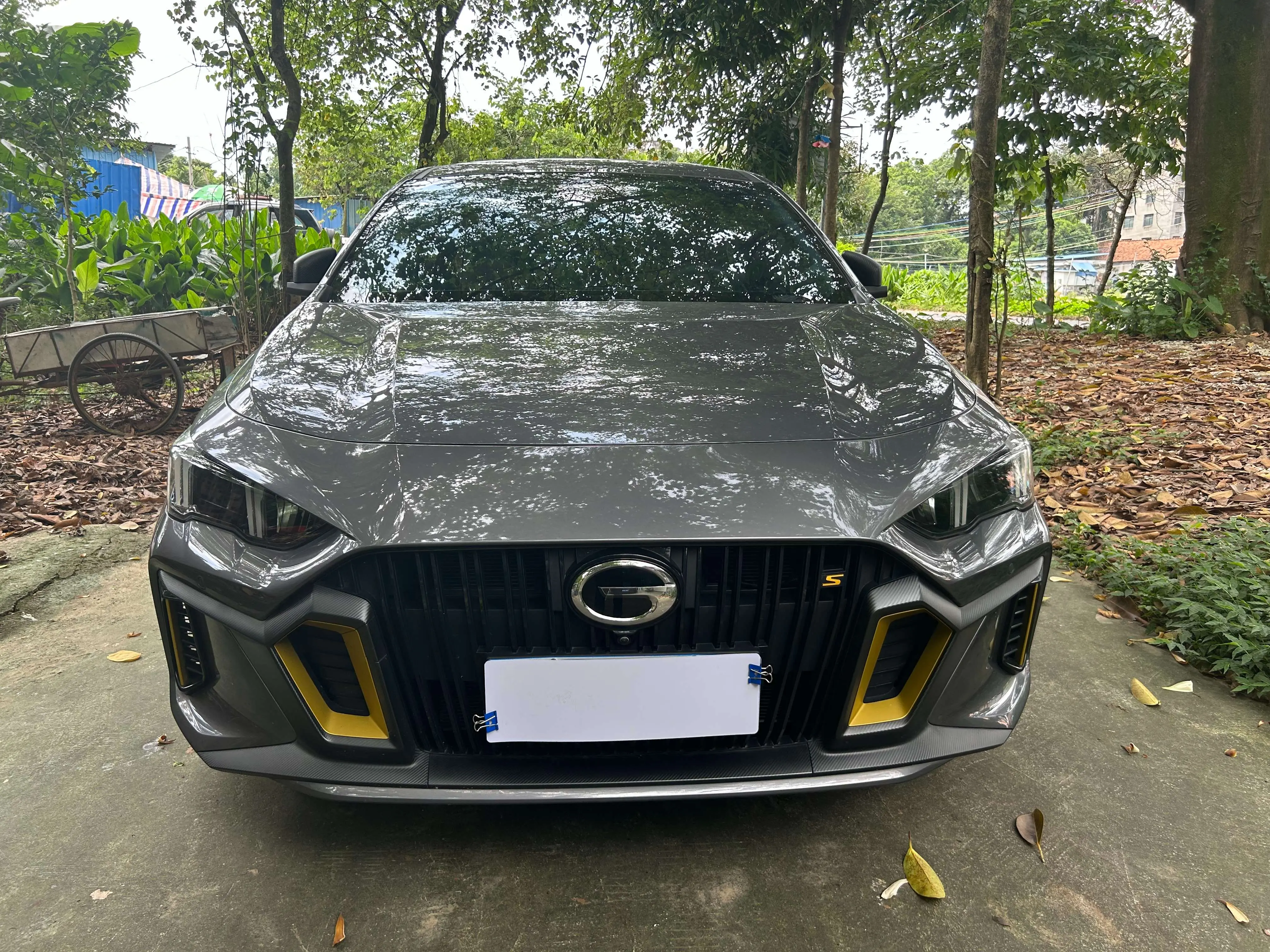 GAC Shadow Leopard  из Китая