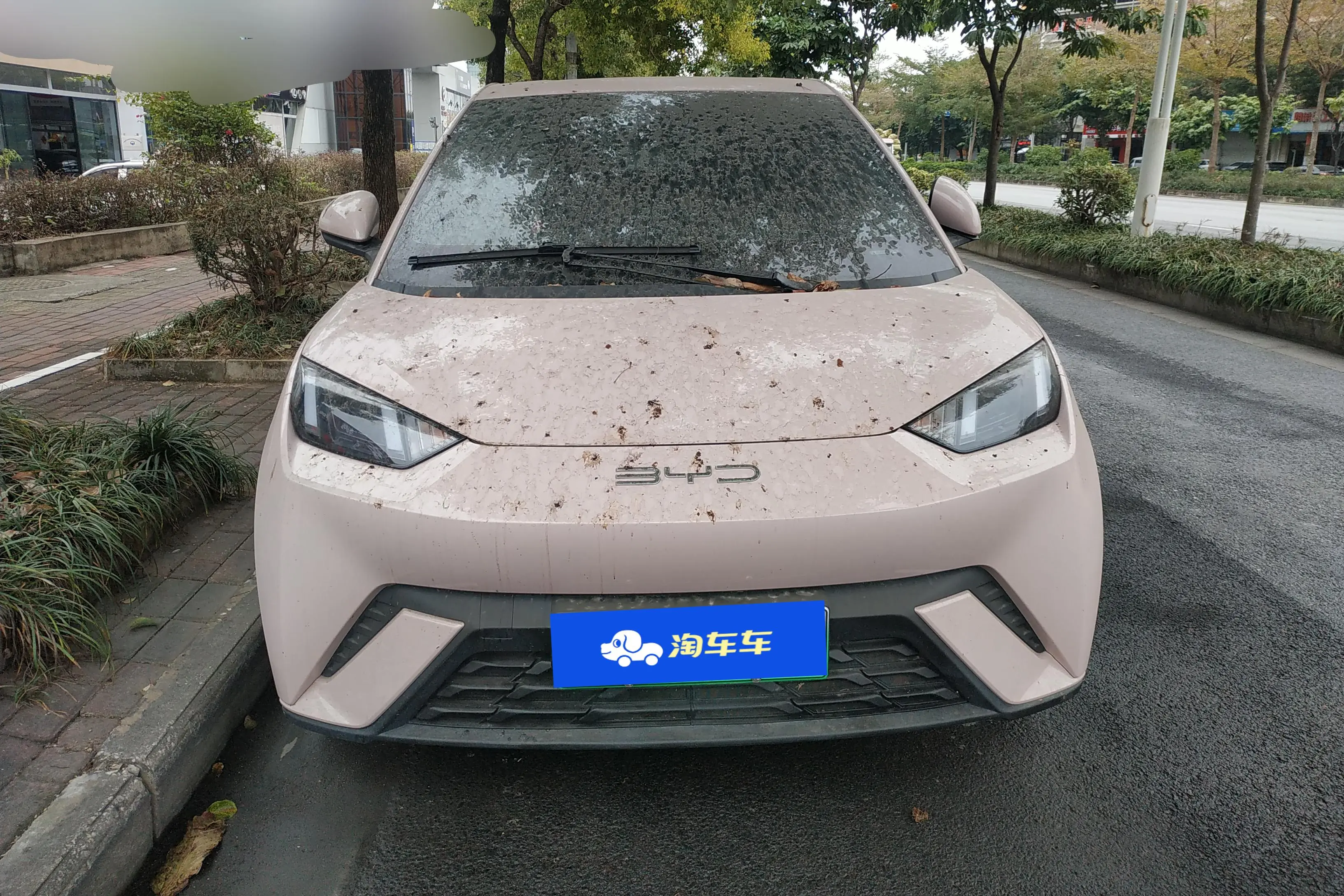 BYD Seagull  из Китая