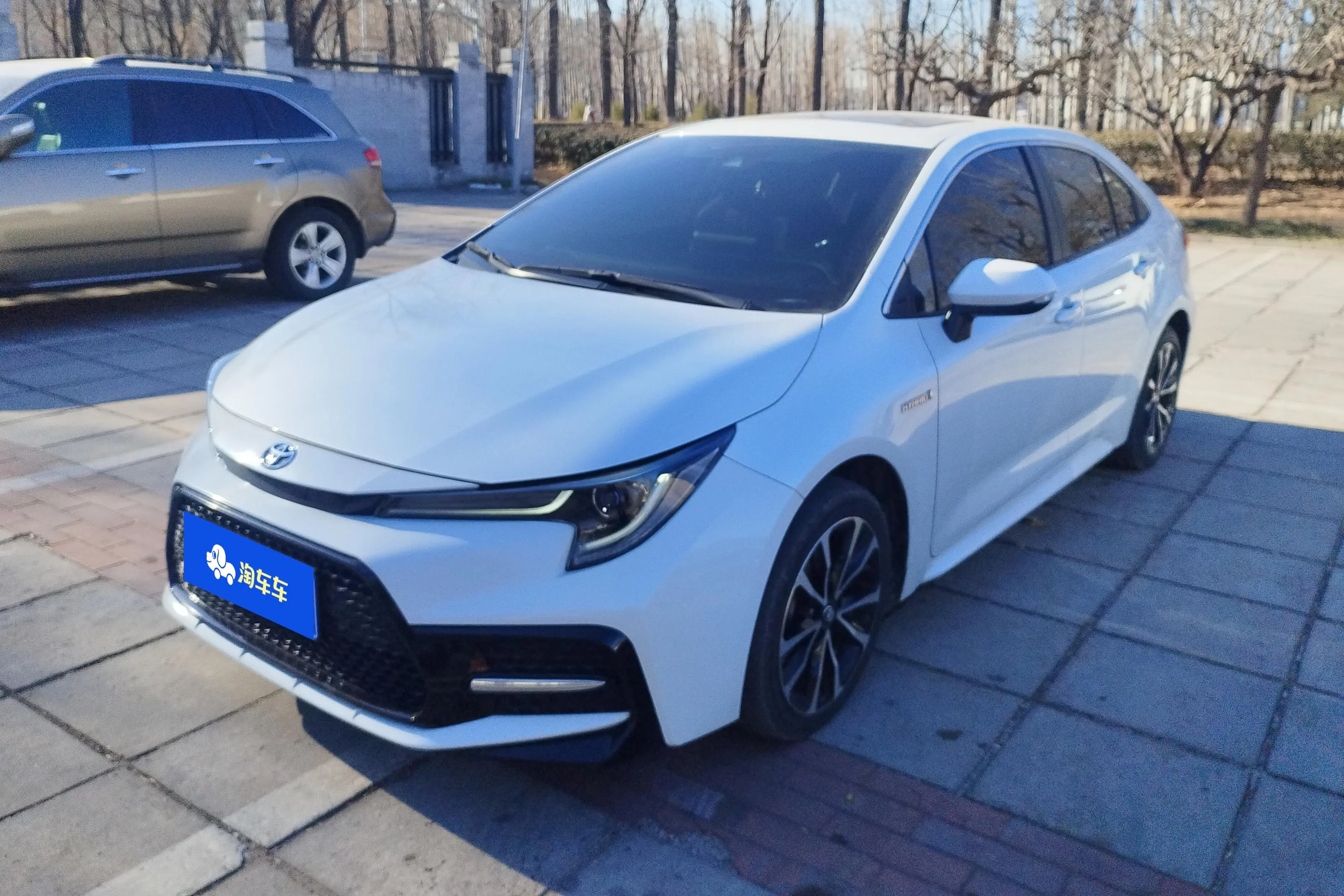Toyota Levin