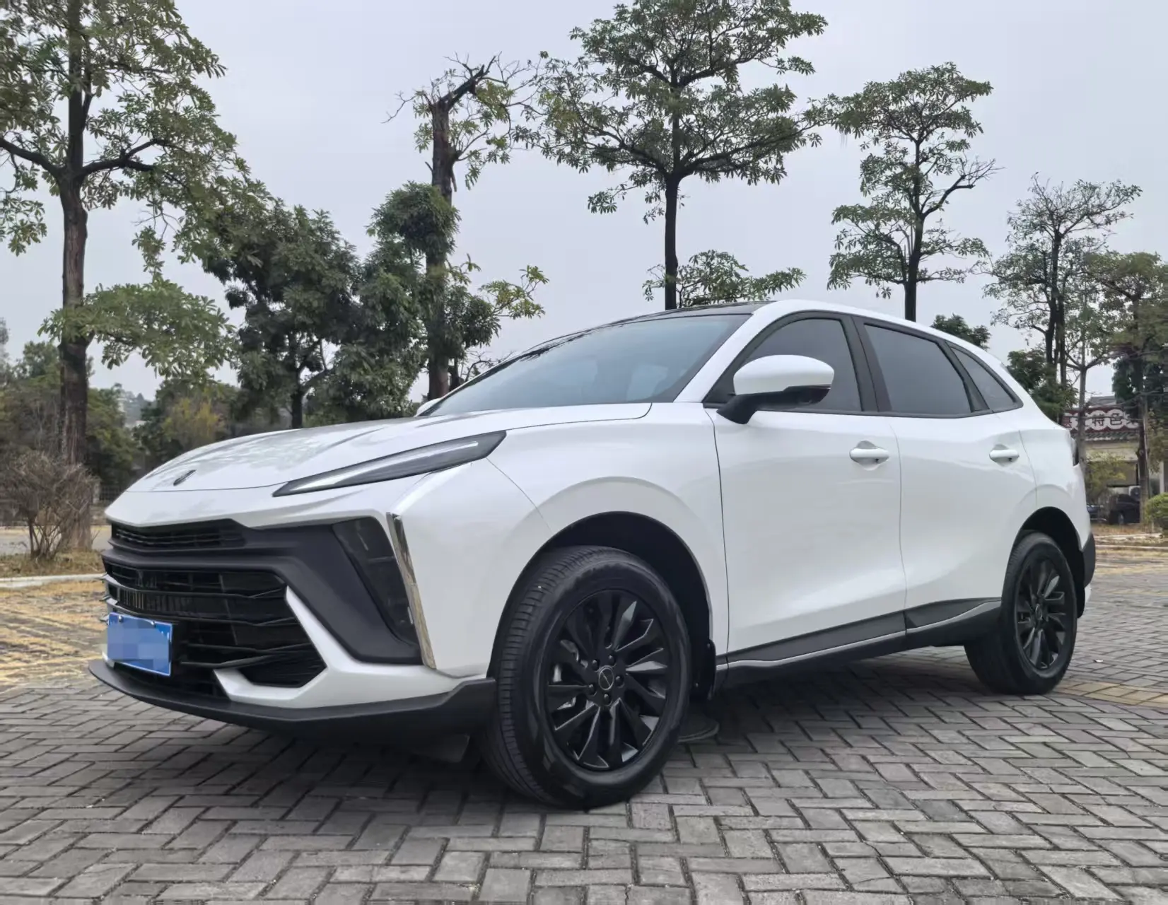 Forthing Fengxing T5 EVO  из Китая