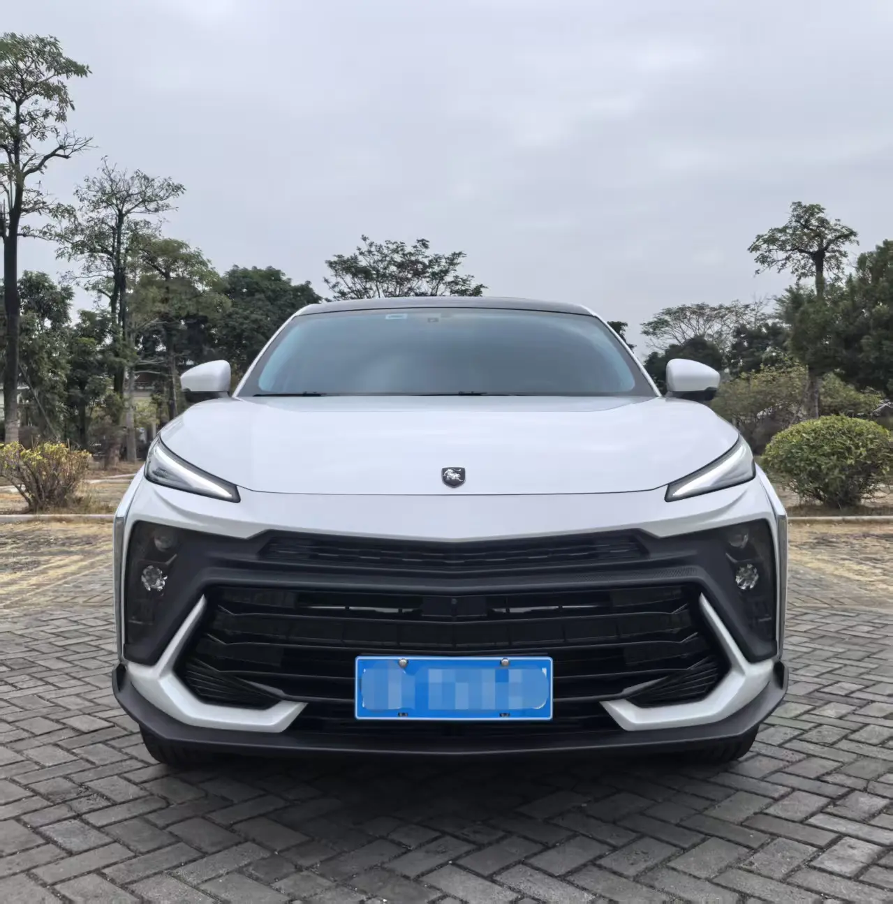 Forthing Fengxing T5 EVO  из Китая