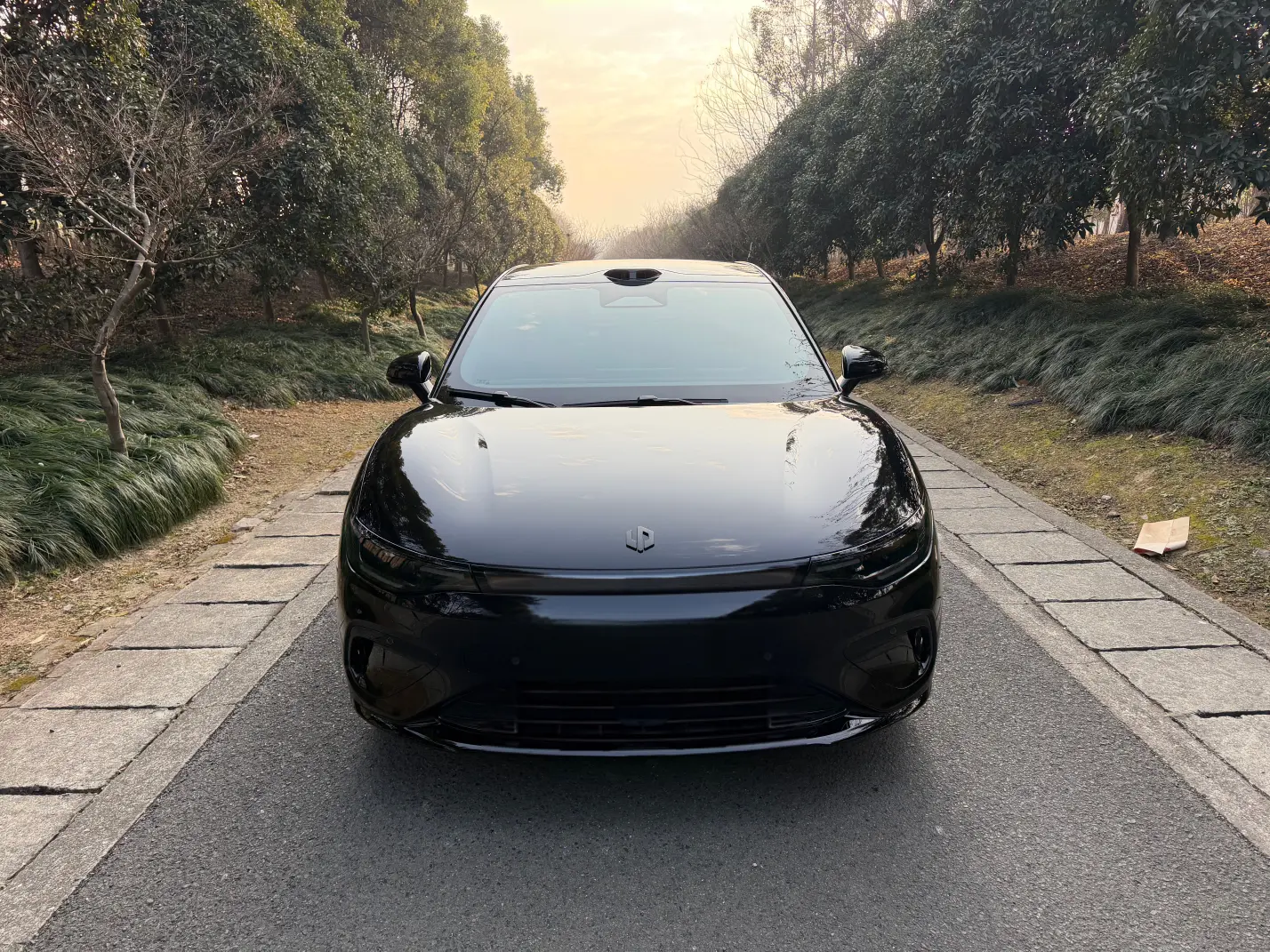 Leapmotor Lafa5  из Китая