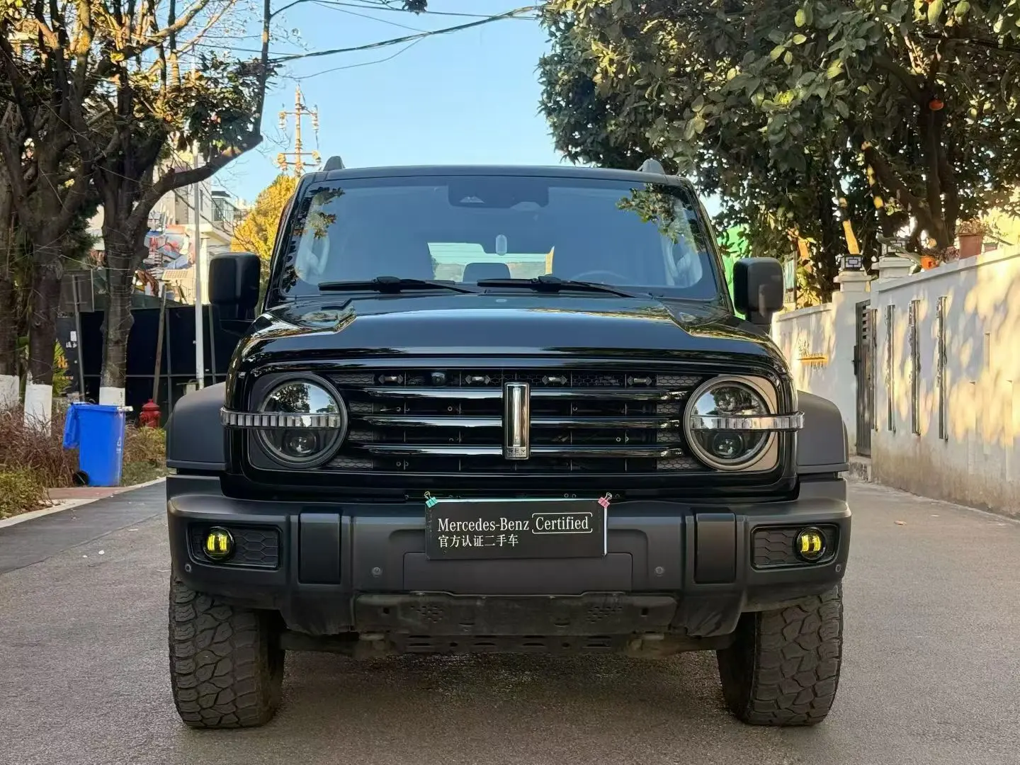 Tank 300  из Китая