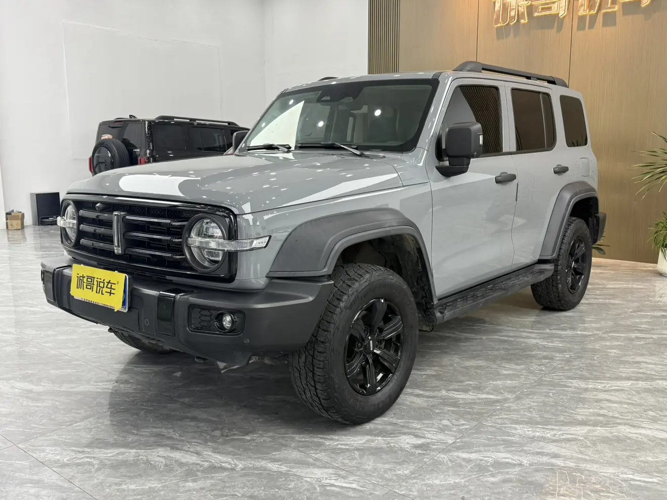 Tank 300  из Китая