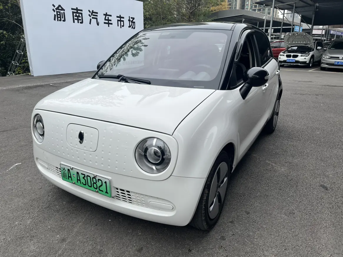 ORA Euler black cat  из Китая