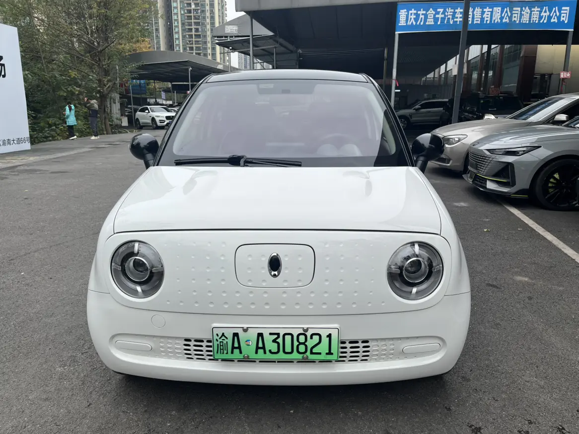 ORA Euler black cat  из Китая