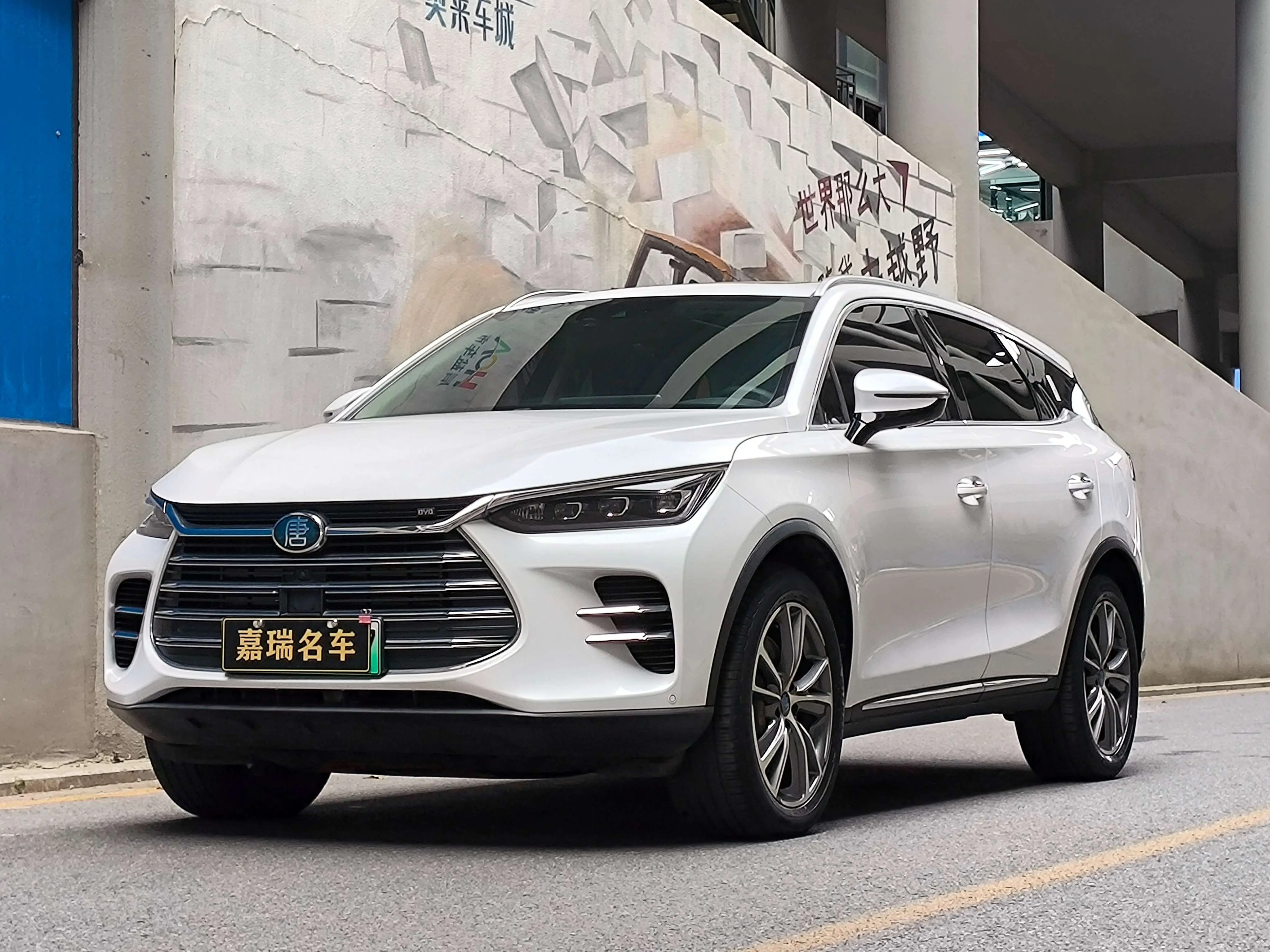 BYD Tang DM  из Китая