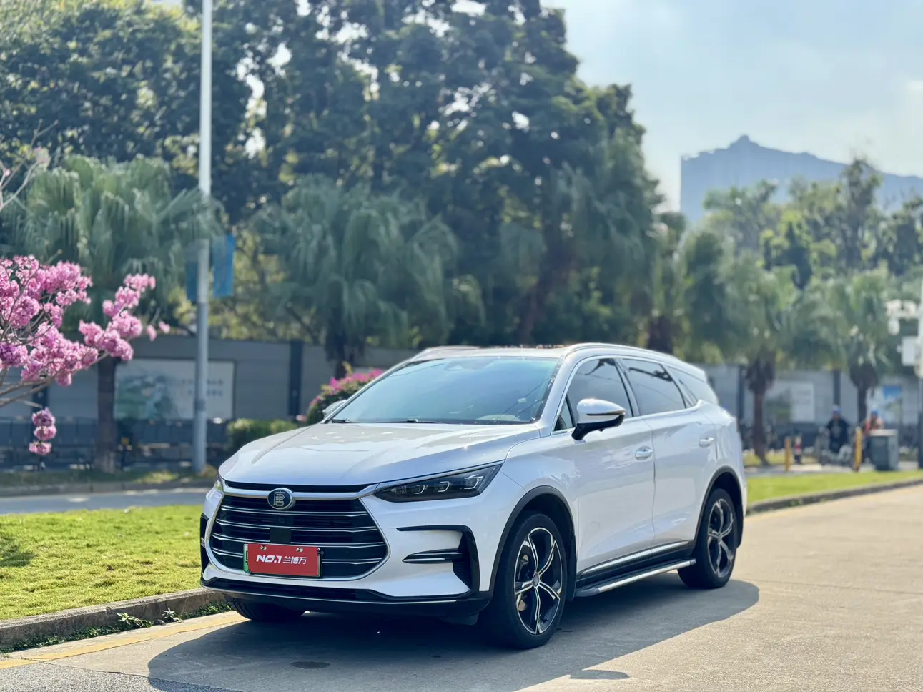 BYD Tang DM  из Китая