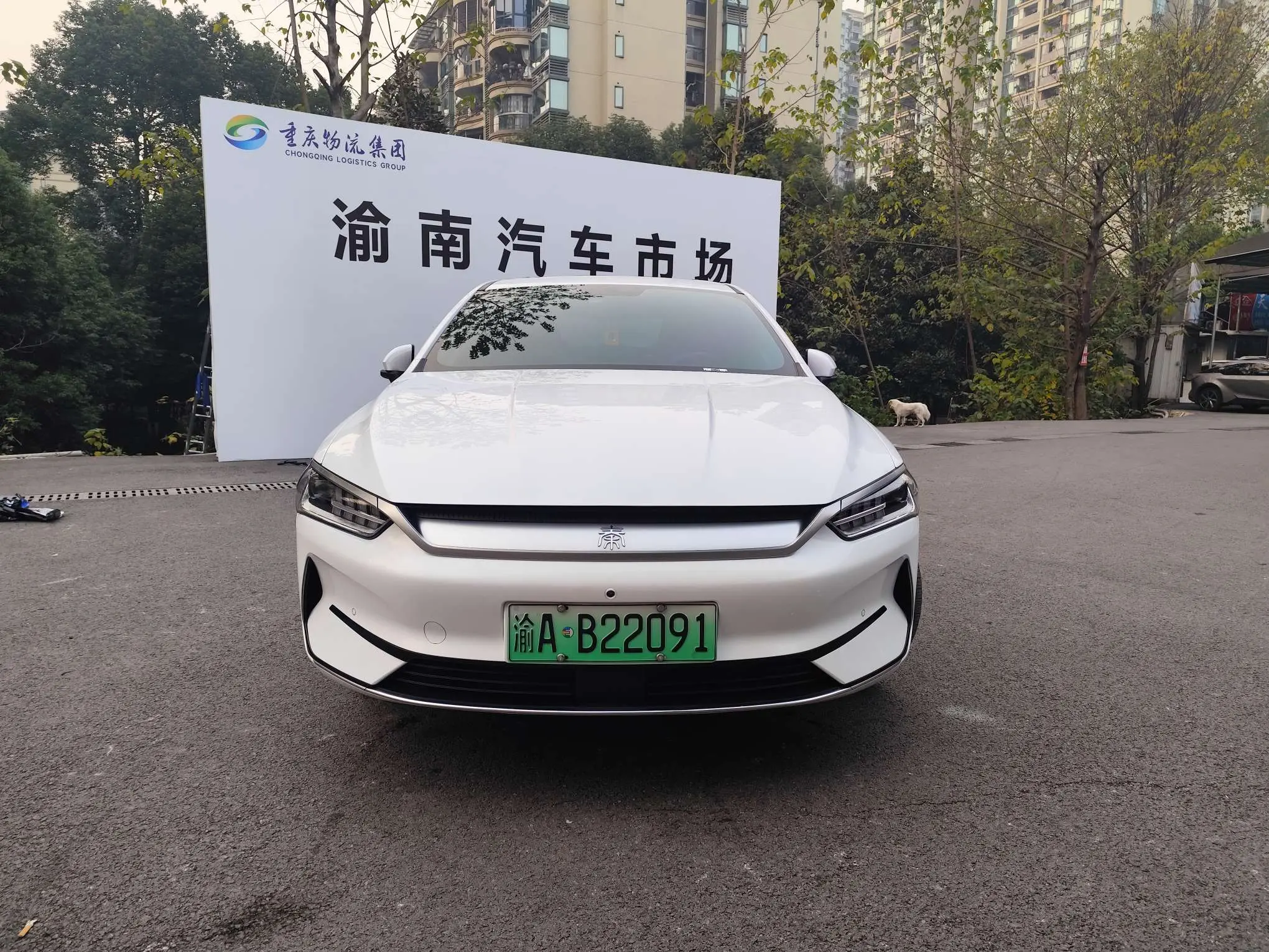 BYD Qin PLUS EV  из Китая