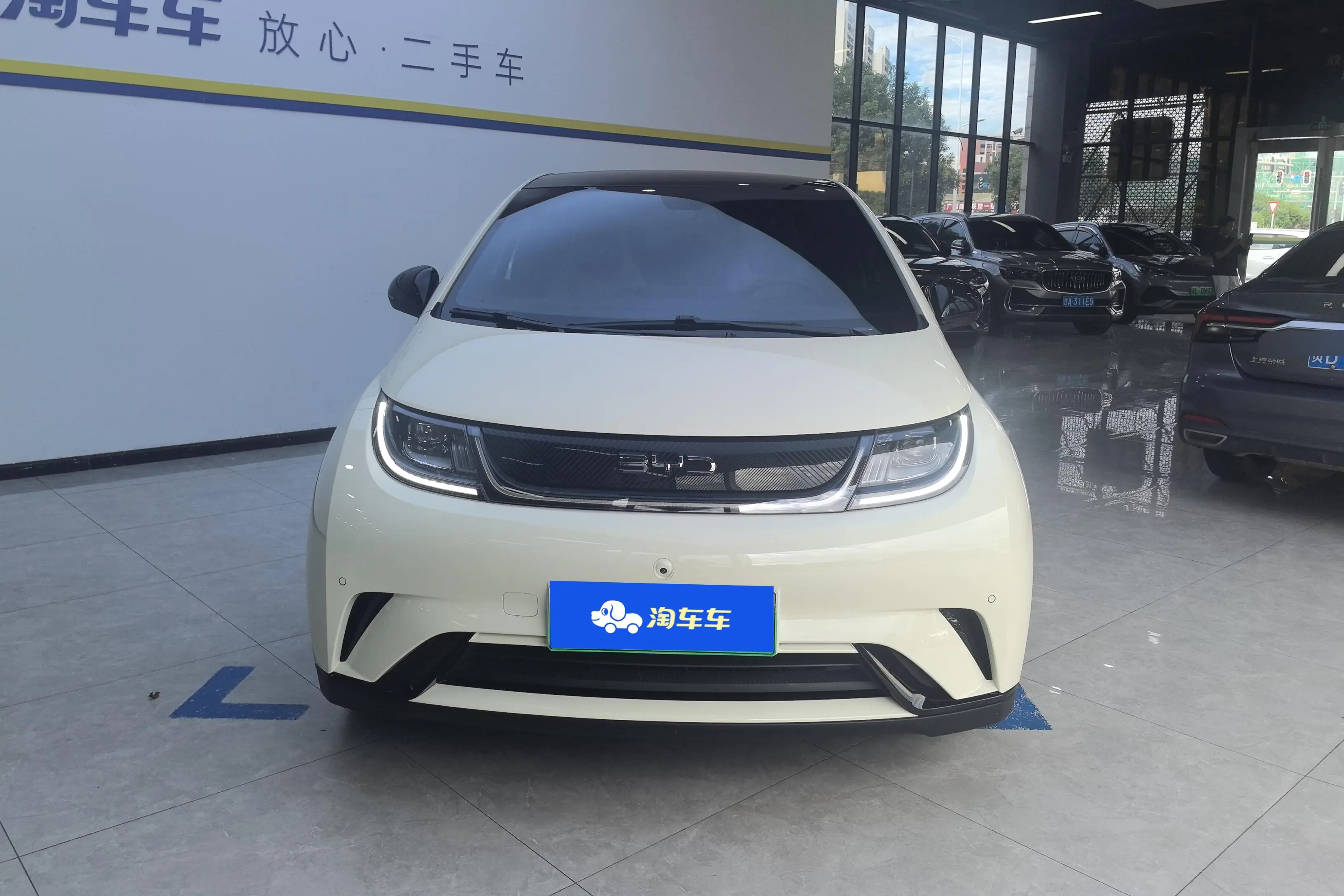 BYD Dolphin  из Китая