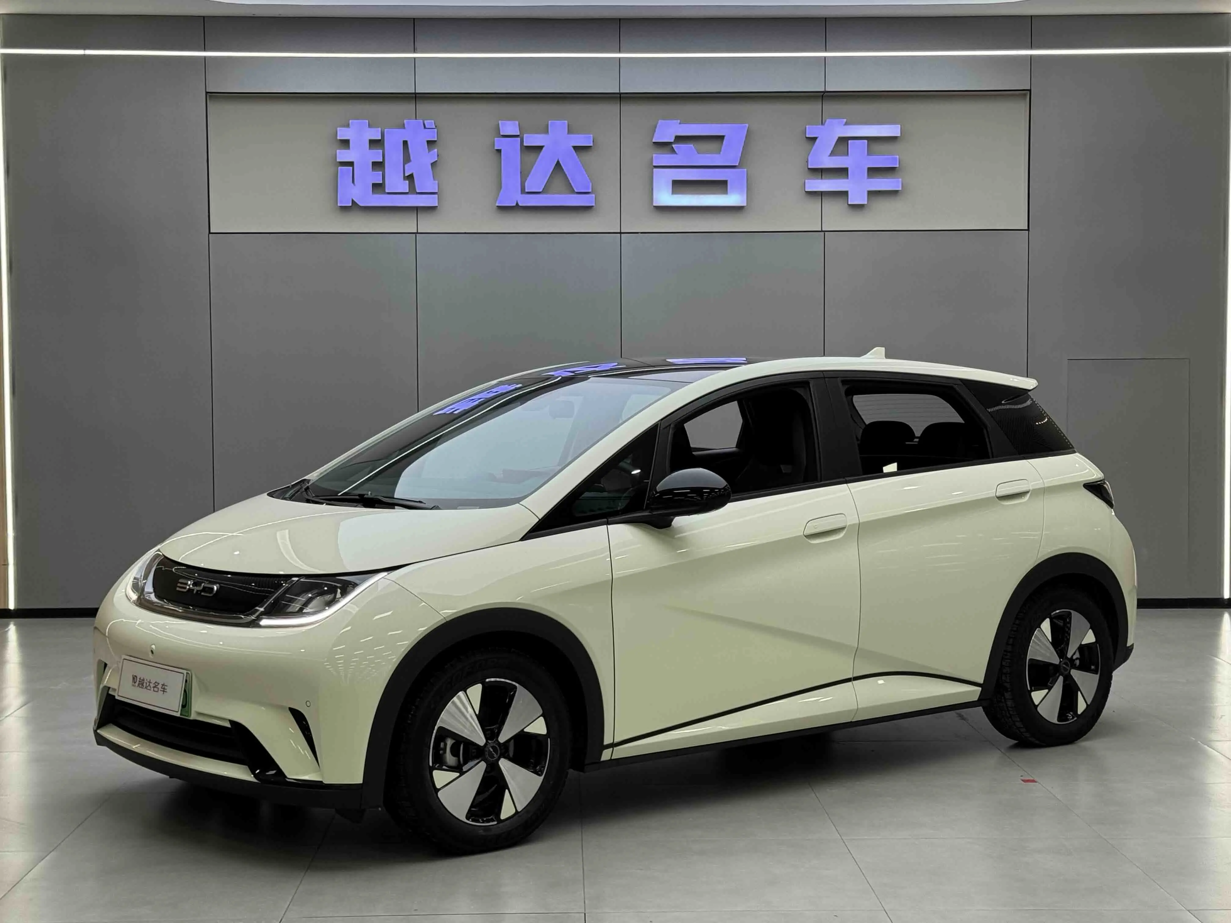 BYD Dolphin  из Китая