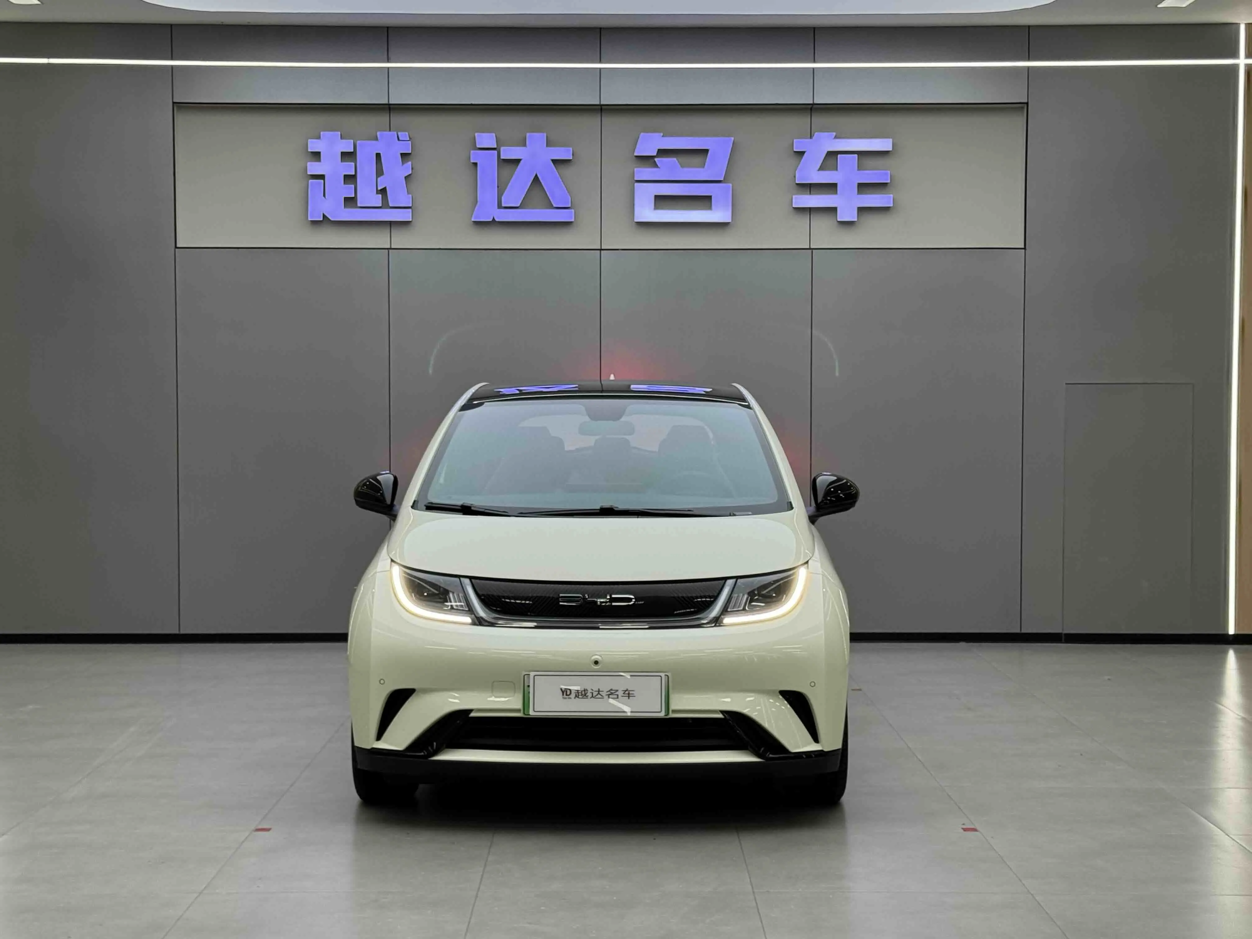 BYD Dolphin  из Китая