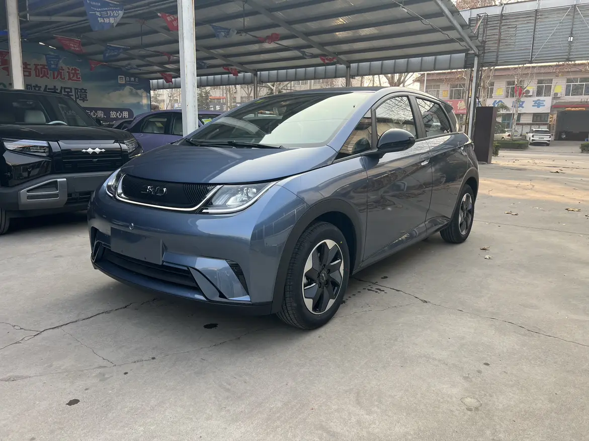 BYD Dolphin  из Китая