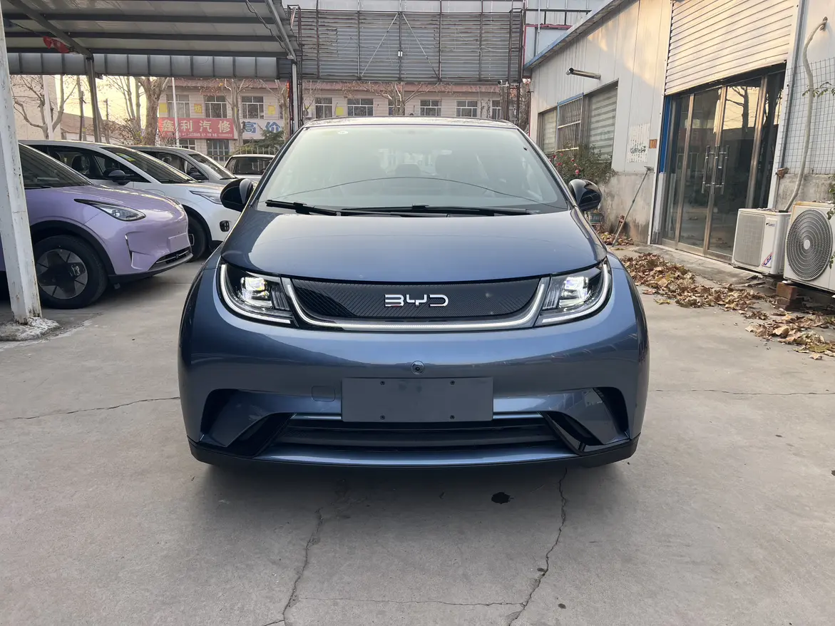 BYD Dolphin  из Китая