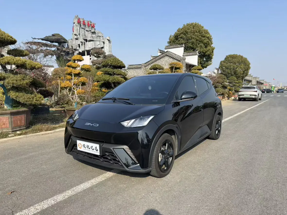 BYD Seagull  из Китая