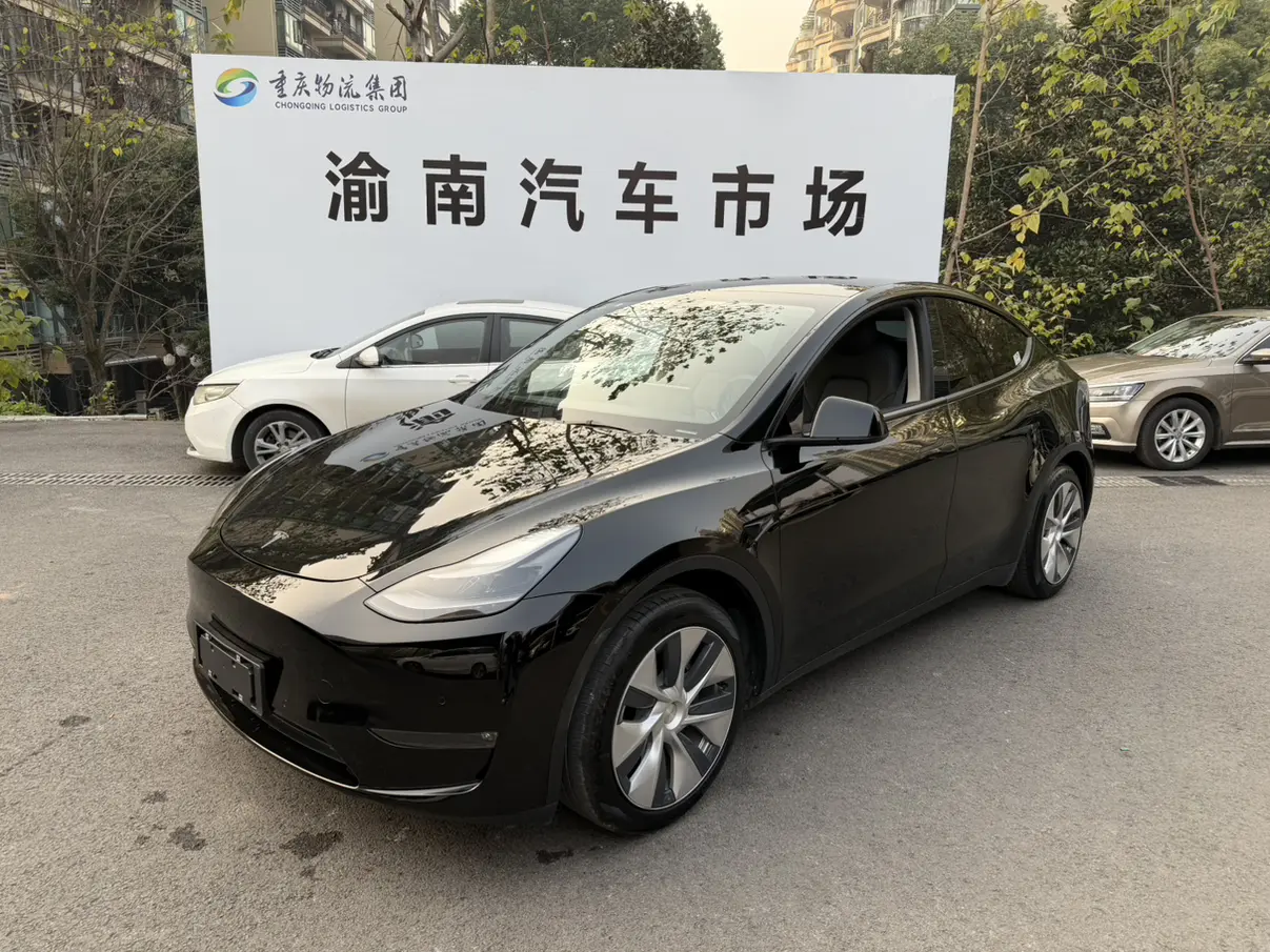 Tesla Model Y  из Китая