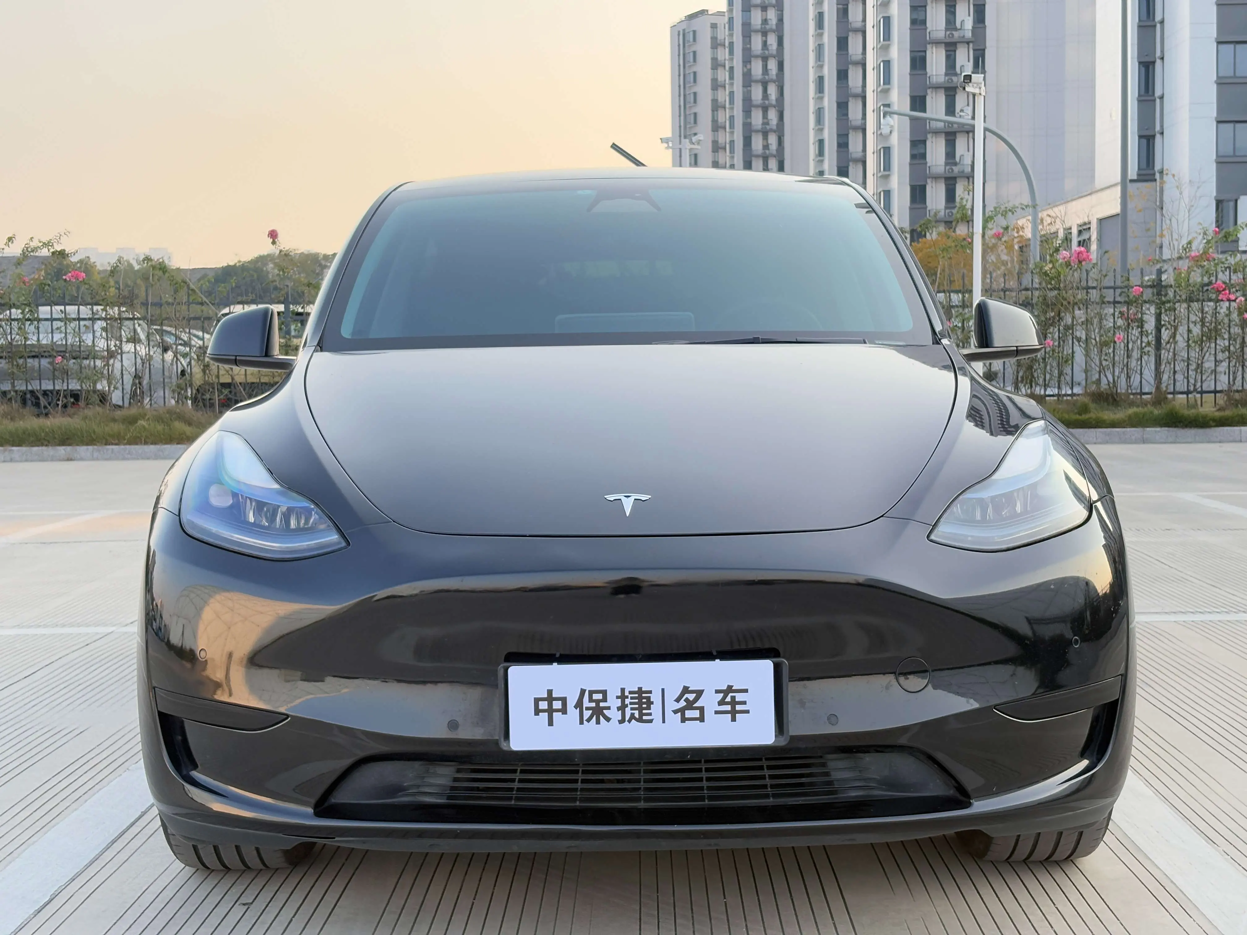 Tesla Model Y  из Китая