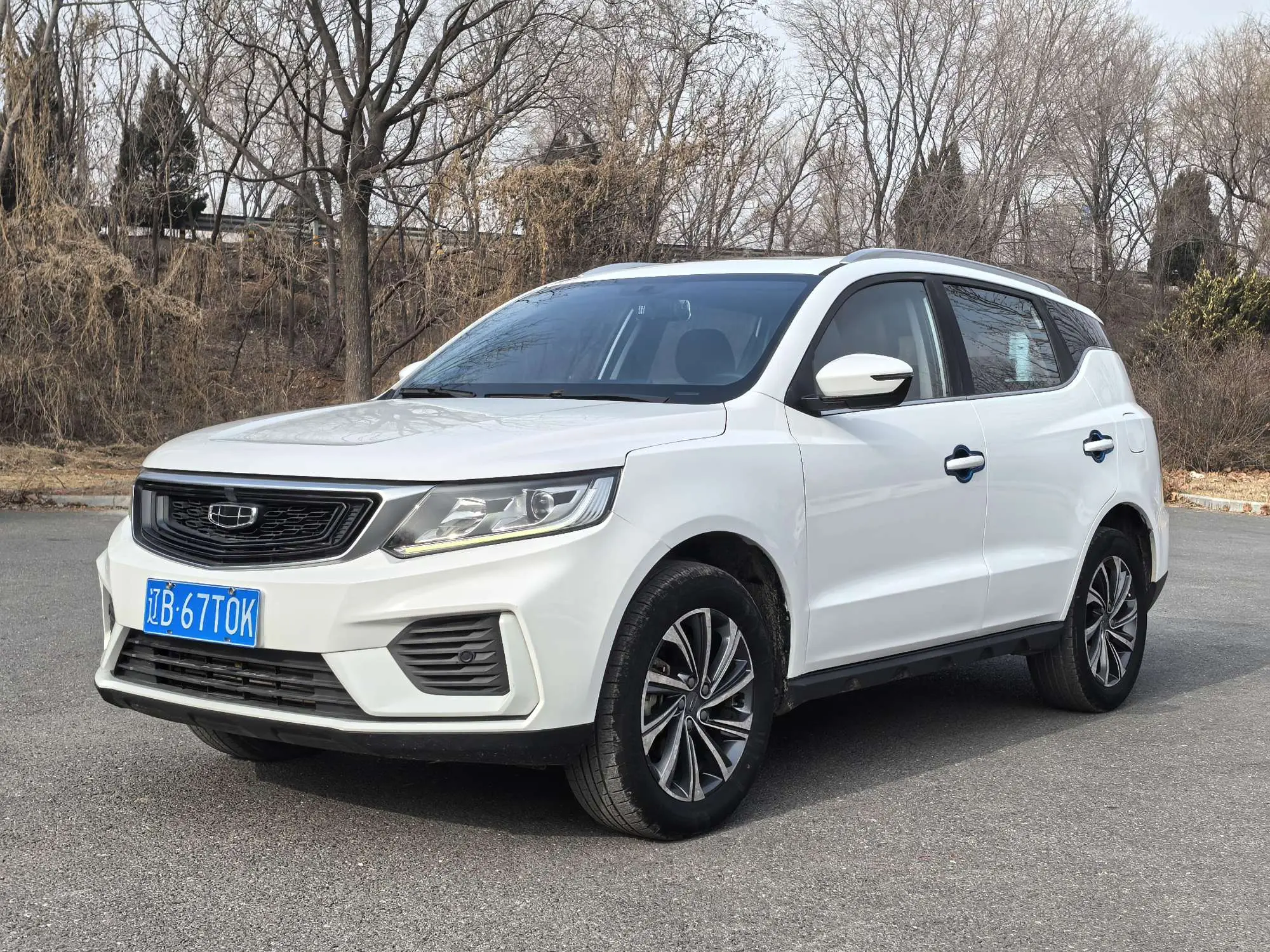 Geely Vision X6  из Китая
