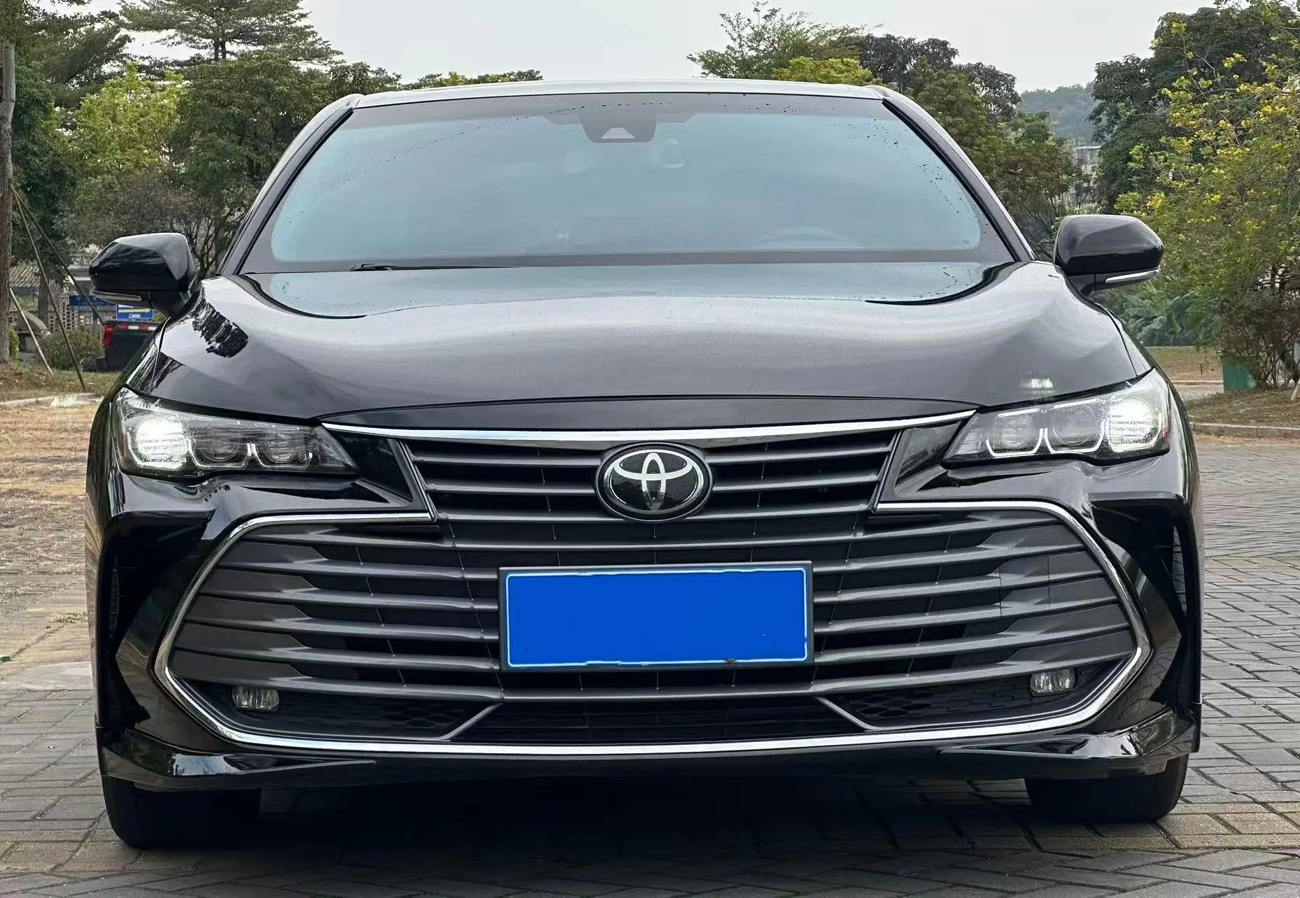 Toyota Avalon (Asian dragon)  из Китая