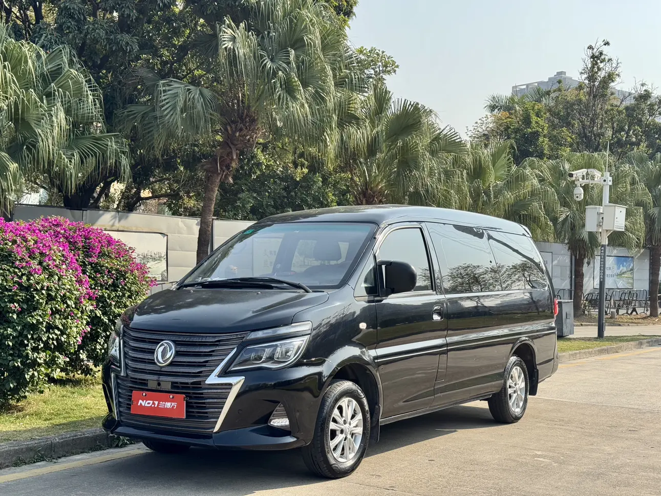 Forthing Lingzhi  из Китая