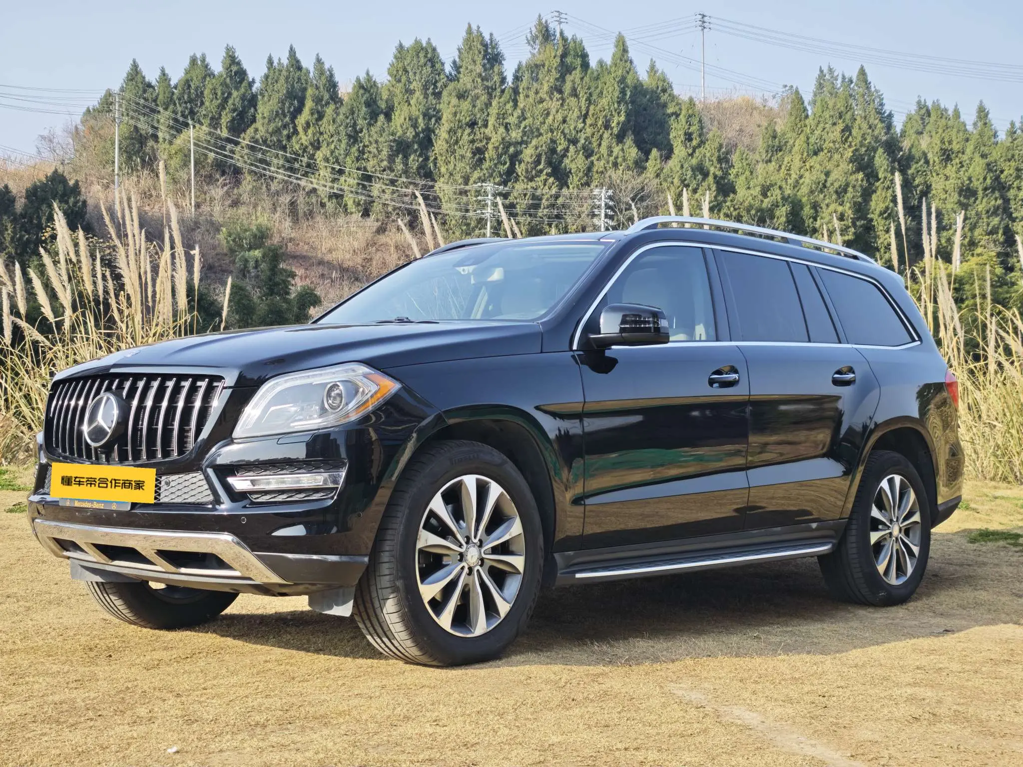 Mercedes-Benz Mercedes Benz GL Class  из Китая
