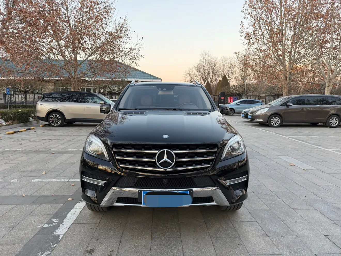 Mercedes-Benz Mercedes Benz M Class  из Китая