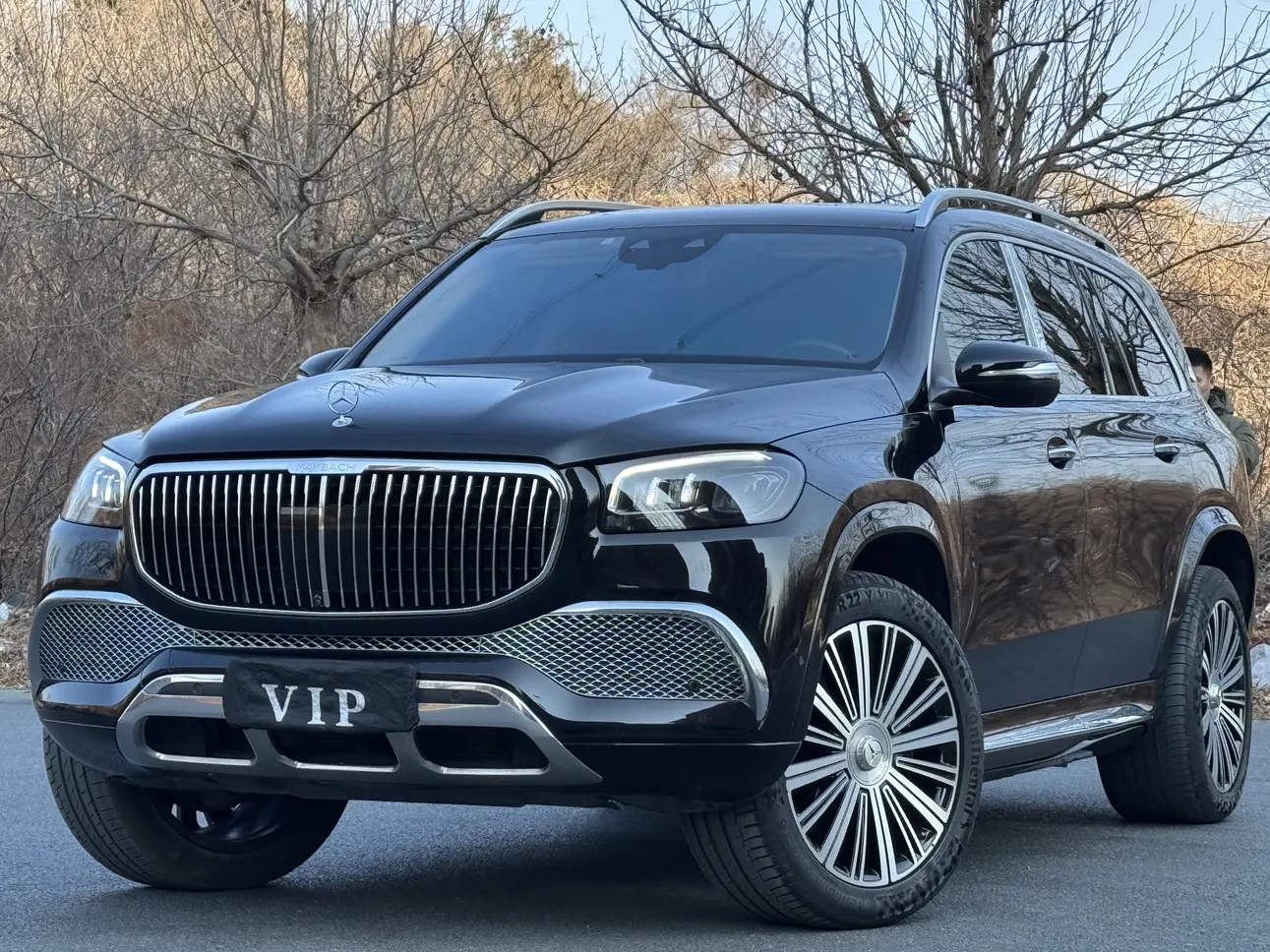 Mercedes-Benz Maybach GLS  из Китая