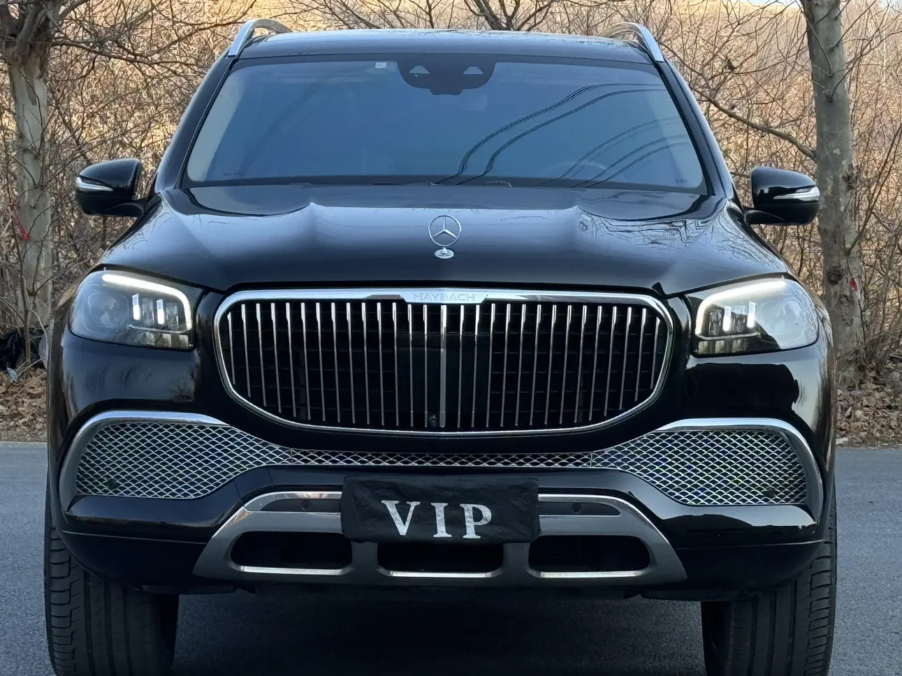 Mercedes-Benz Maybach GLS  из Китая