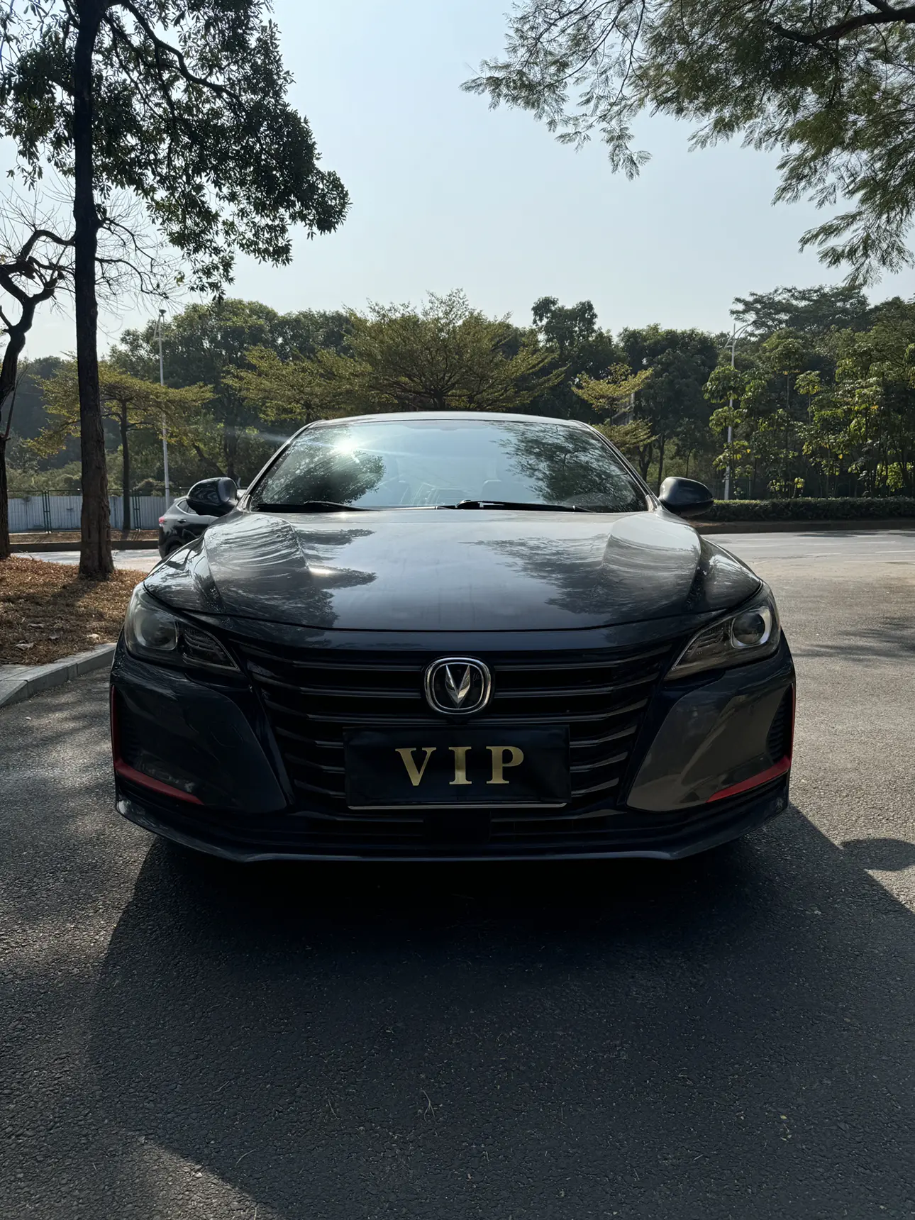 Changan Ruicheng CC  из Китая