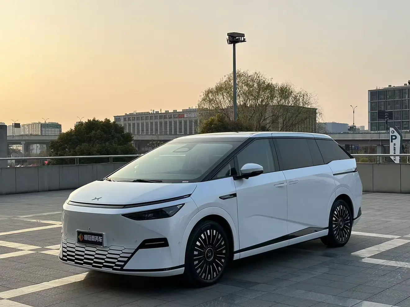 Xpeng X9  из Китая