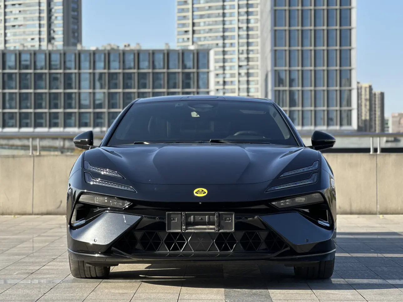 Lotus Emeya  из Китая