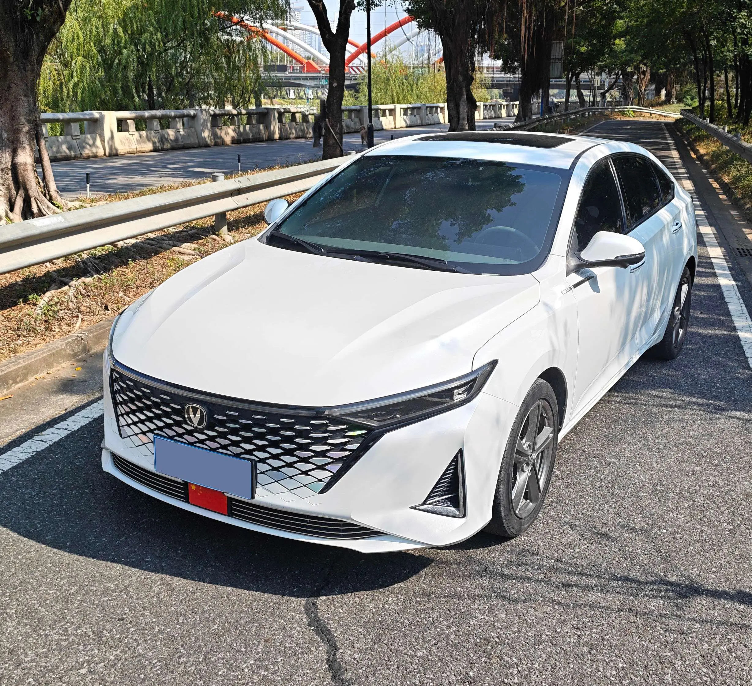 Changan Ruicheng PLUS  из Китая