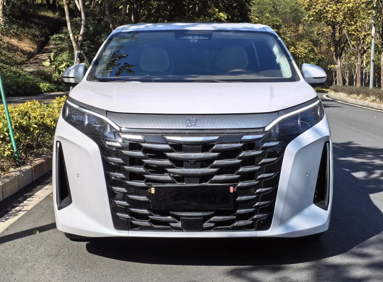 BYD Summer  из Китая