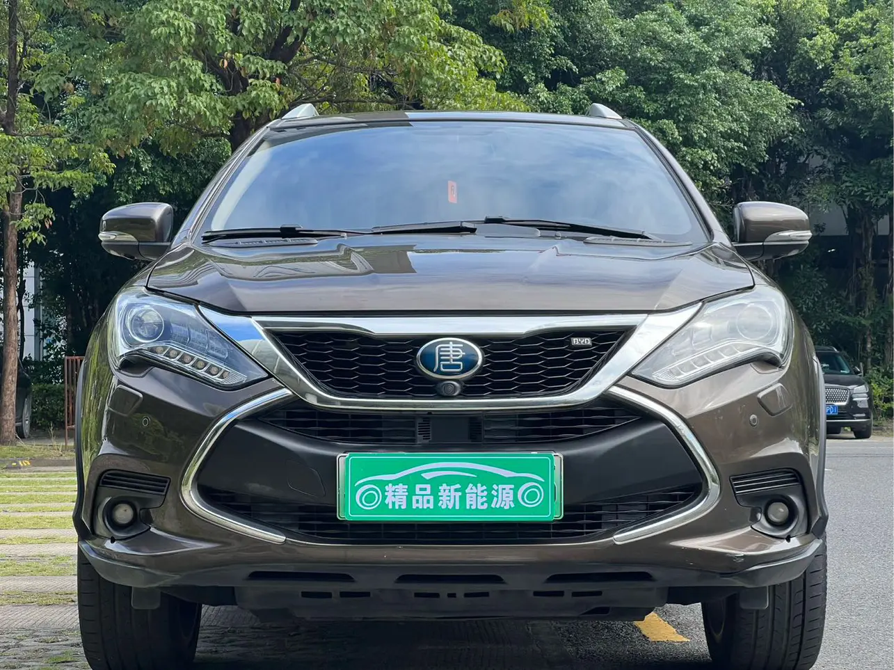 BYD Tang DM  из Китая