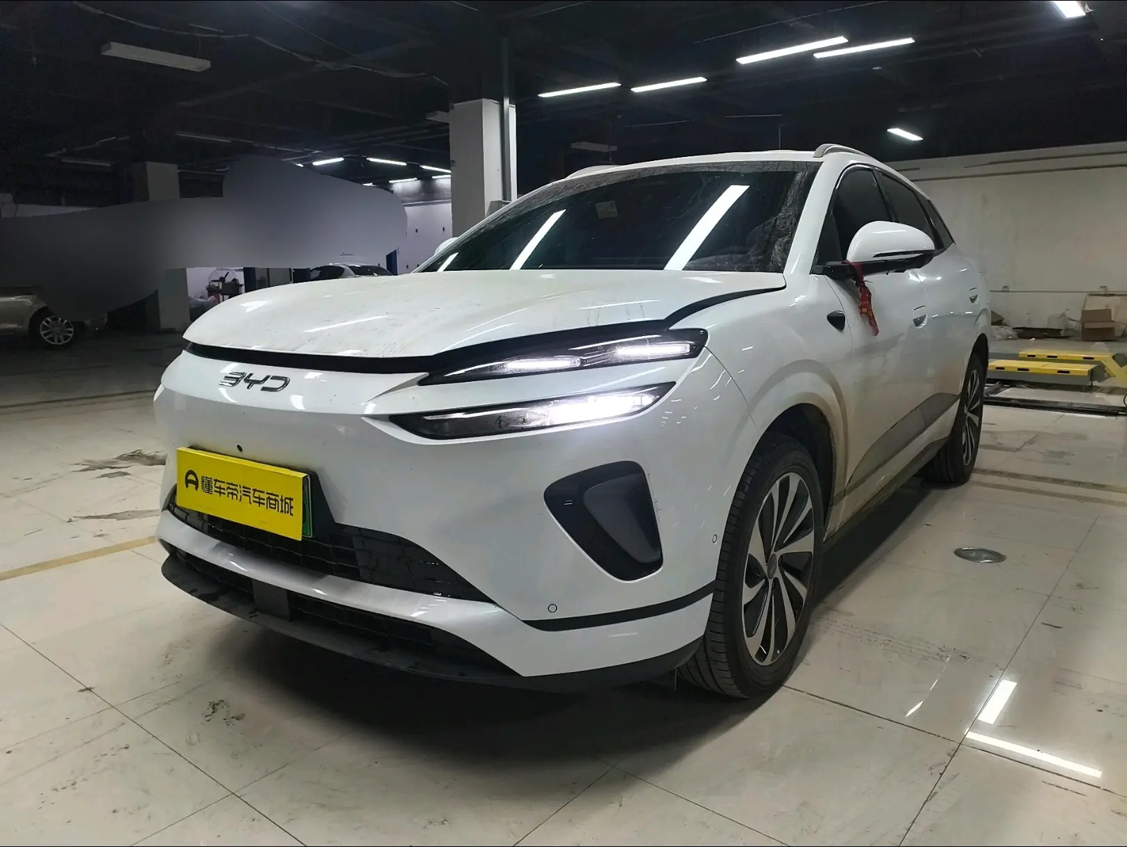 BYD Sea Lion 06DM  из Китая