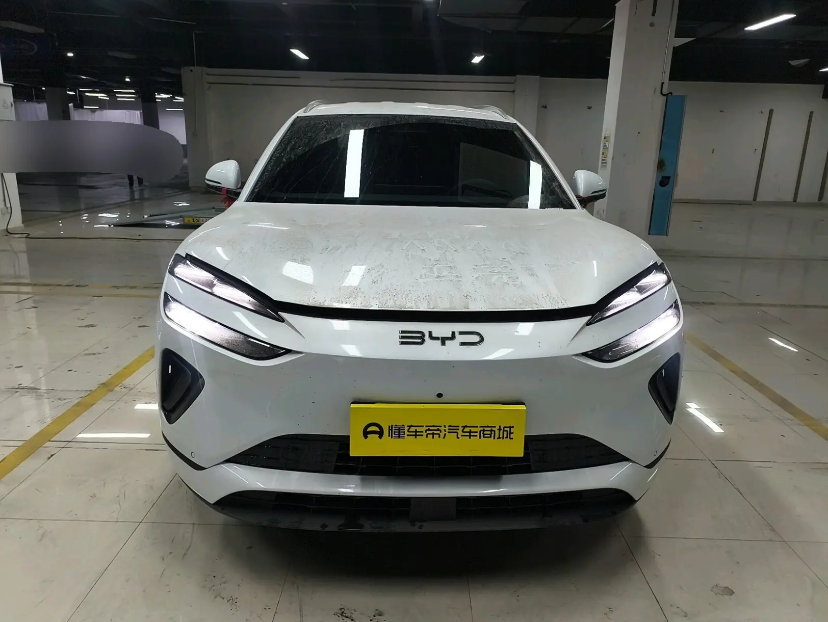 BYD Sea Lion 06DM  из Китая