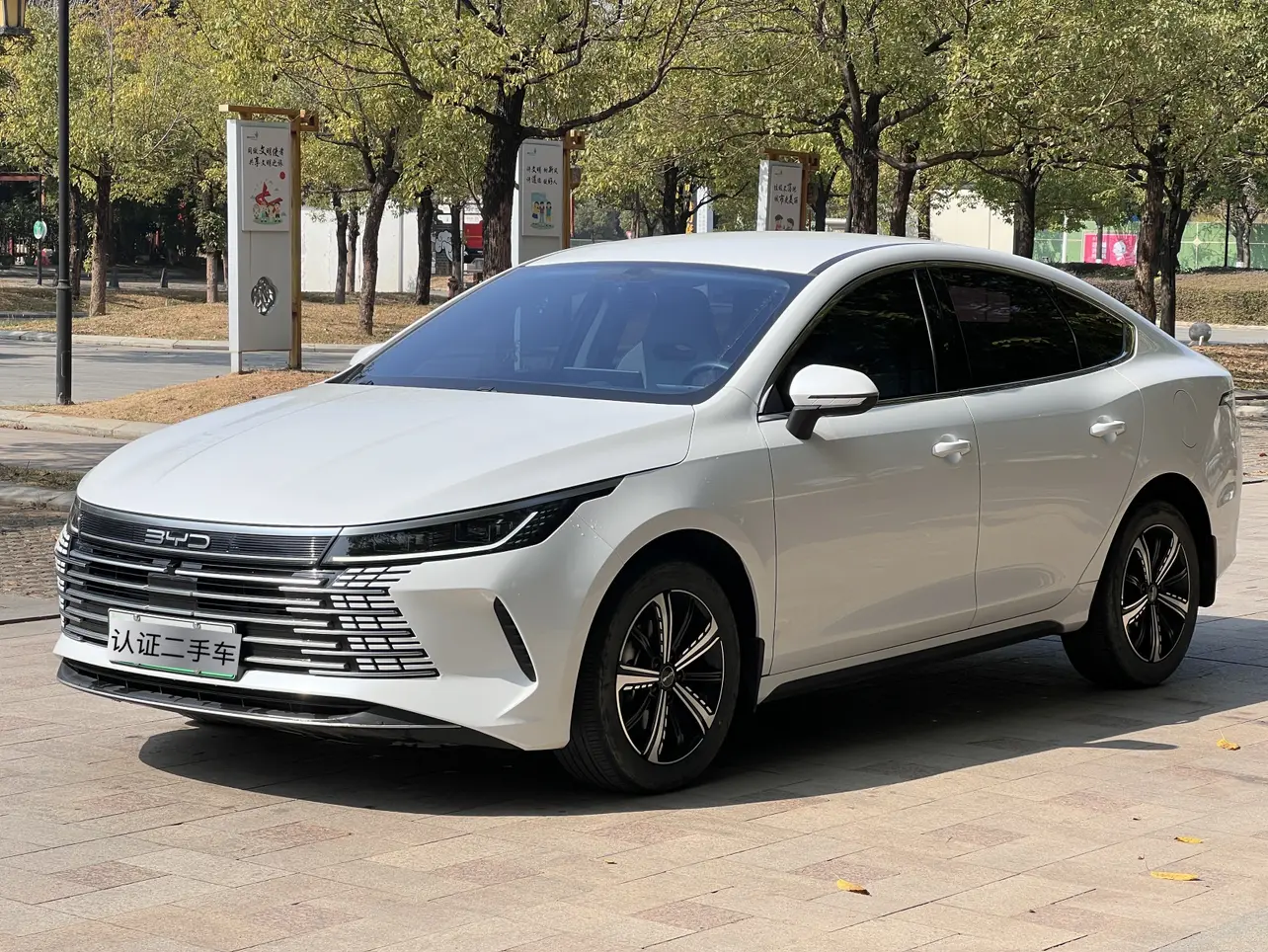 BYD Destroyer 05  из Китая