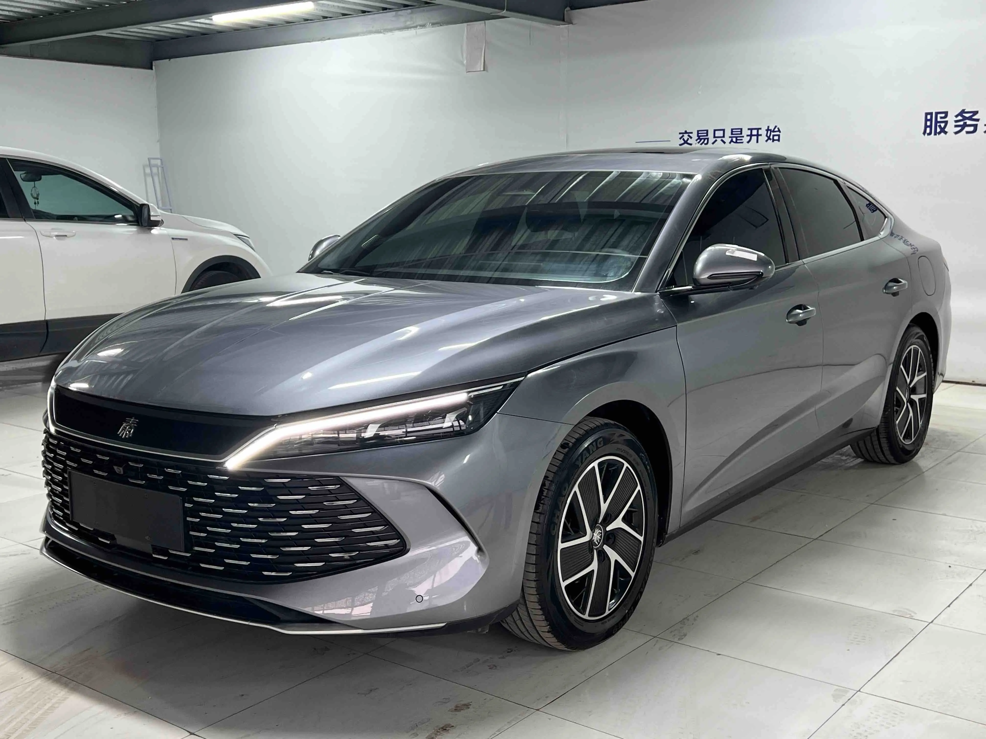 BYD Qin L DM  из Китая